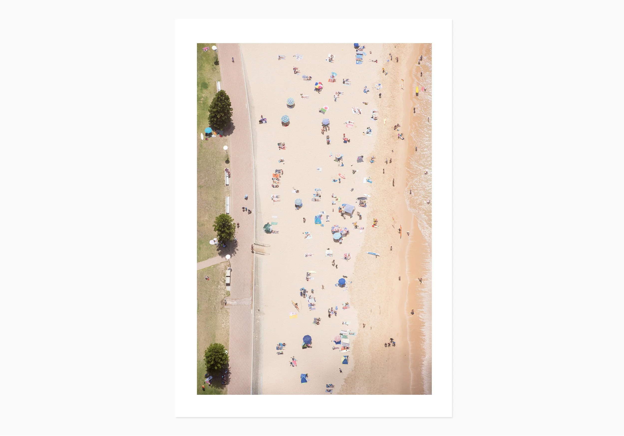 mfsprout_20161231_515-Edit-Edit_PrintOnly-SproutDaily_PrintShop.jpg