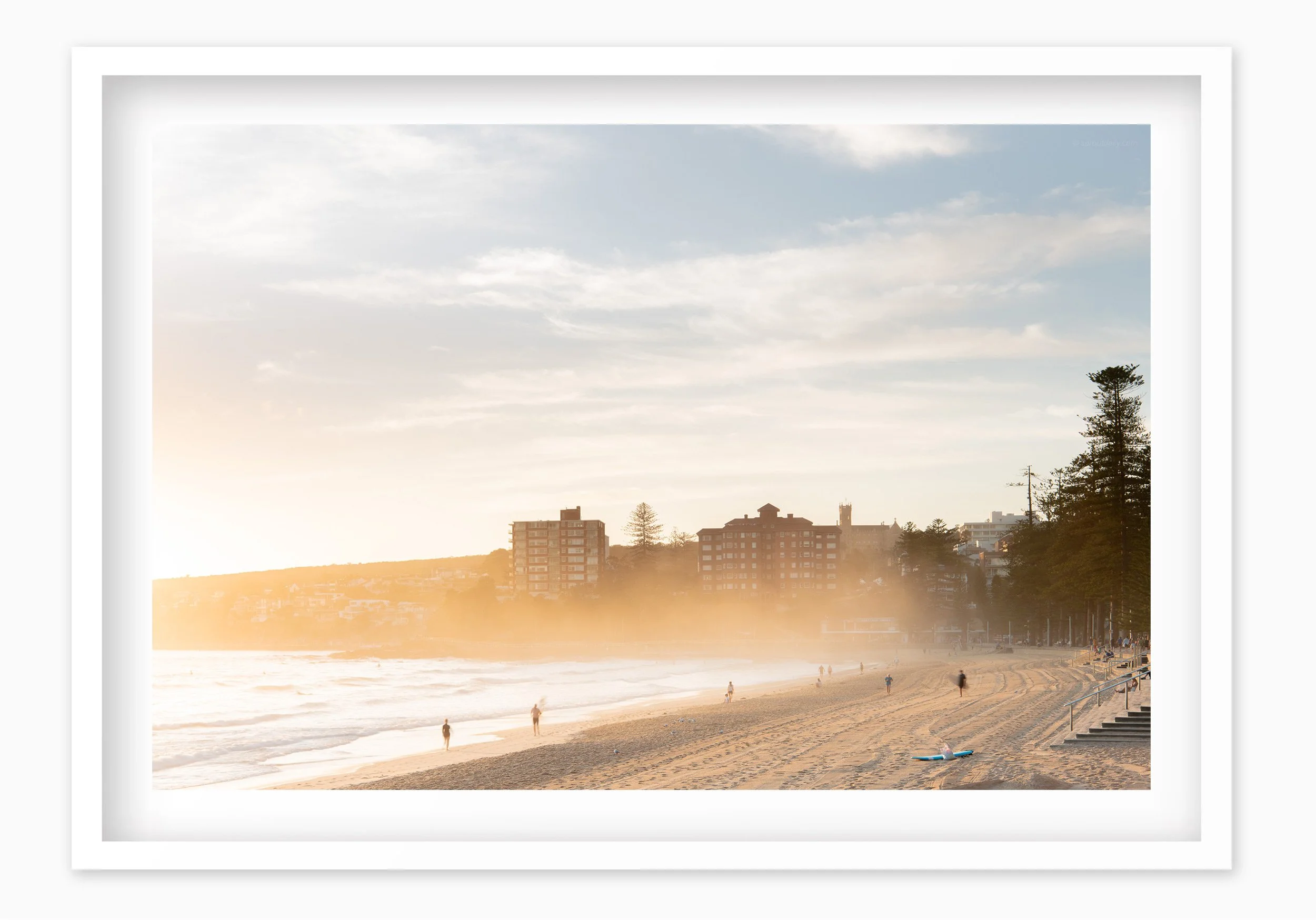 mfsprout_20210113_314_WhiteBox-Frame-SproutDaily_PrintShop.jpg