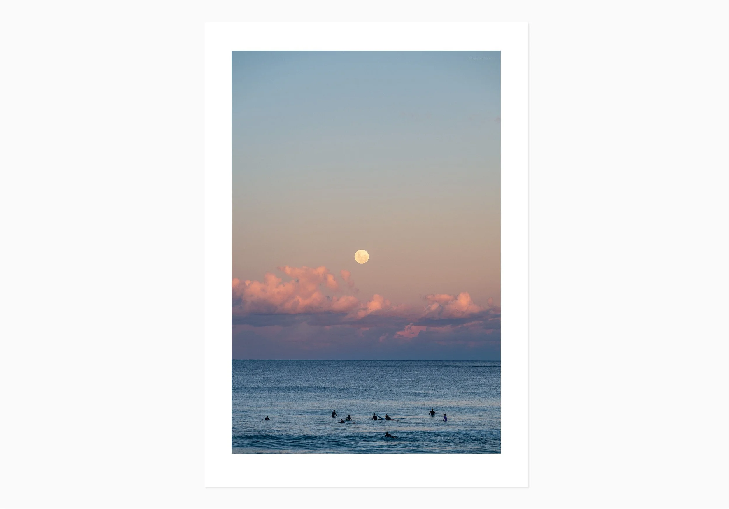 mfsprout__20260531_1271_PrintOnly-SproutDaily_PrintShop.jpg