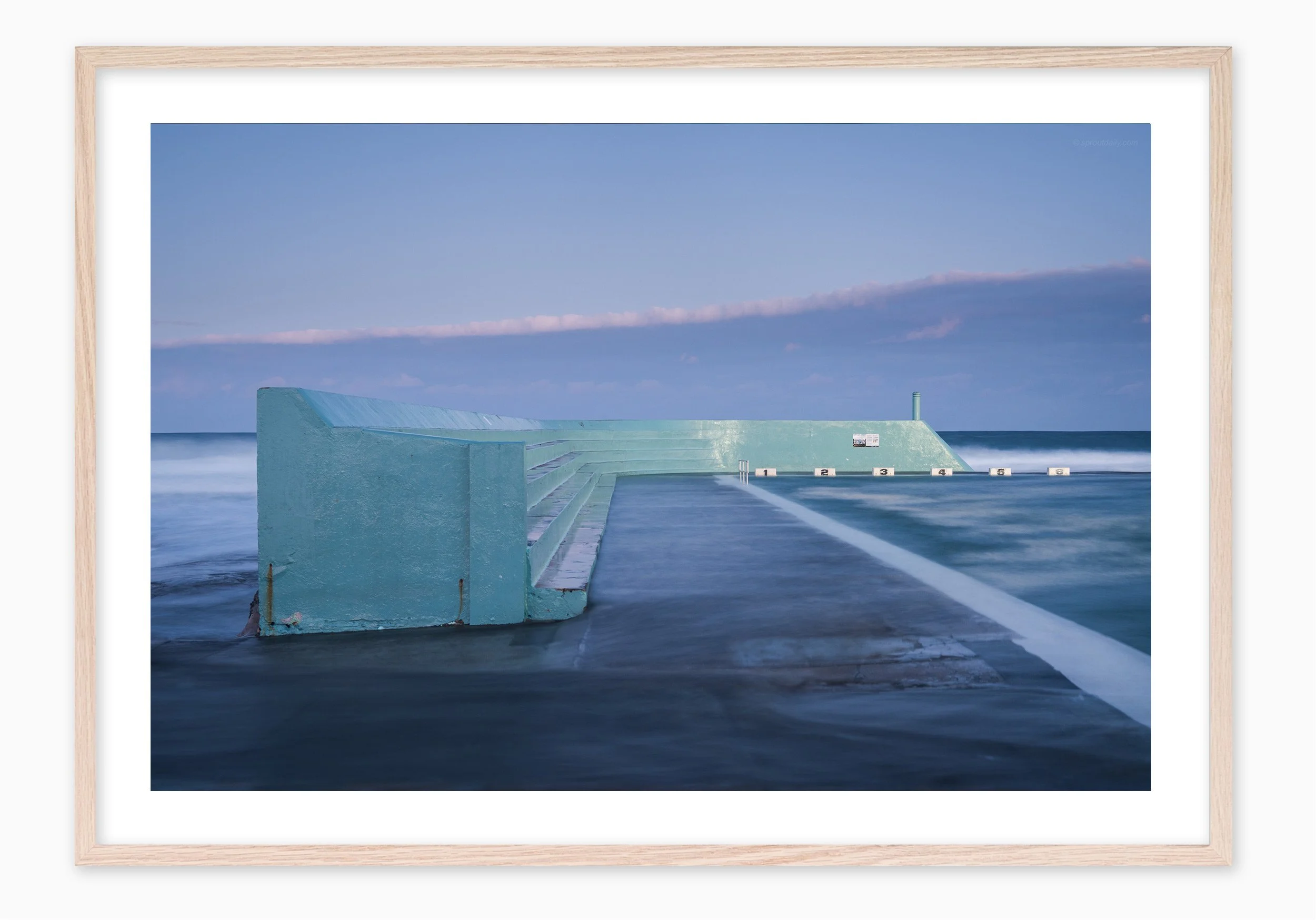 mfsprout20180709_483_RawOak-Frame_SproutDaily_PrintShop.jpg