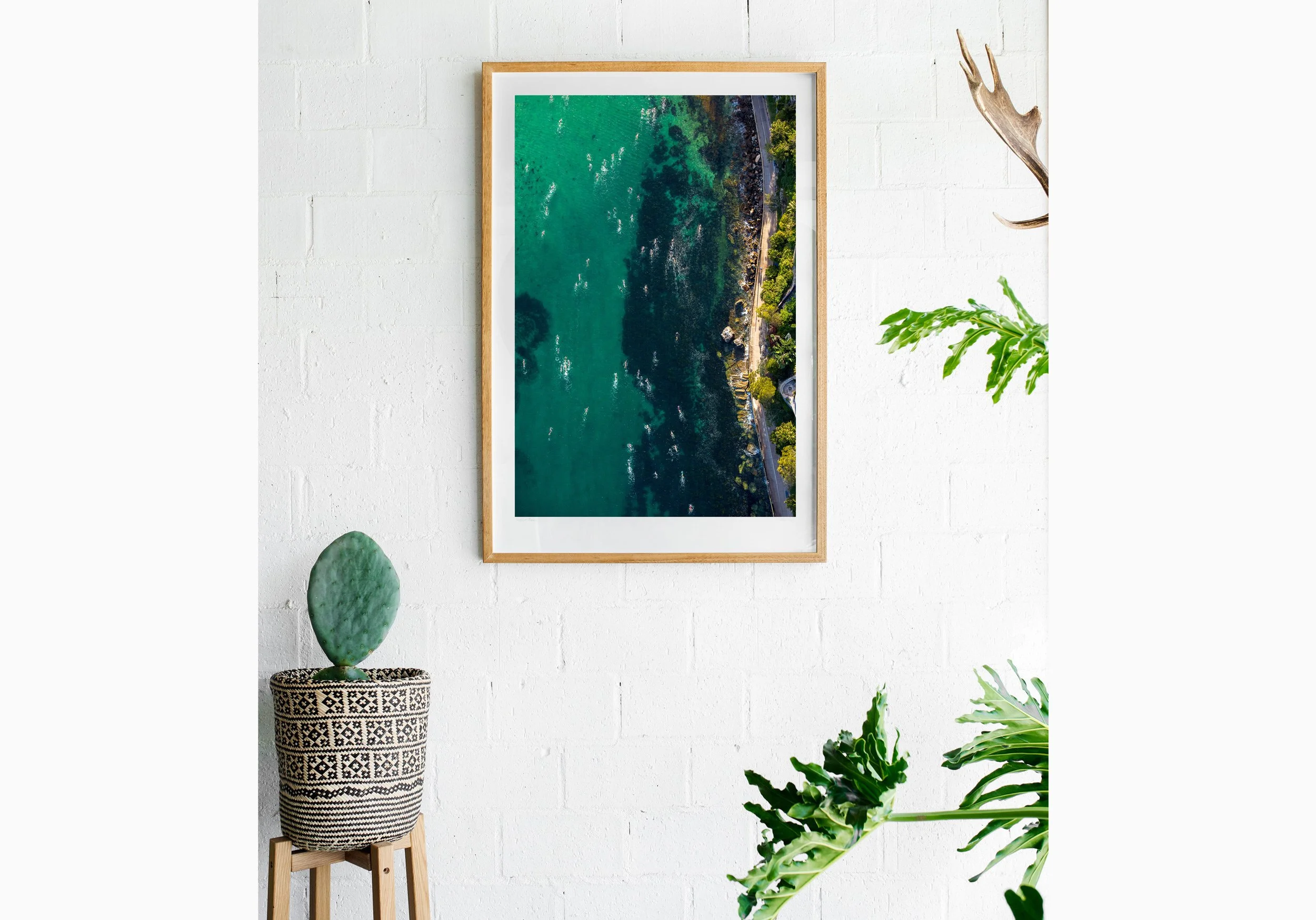 Insitu_mfsprout_20181203_1124_RawOak-Frame_SproutDaily_PrintShop.jpg