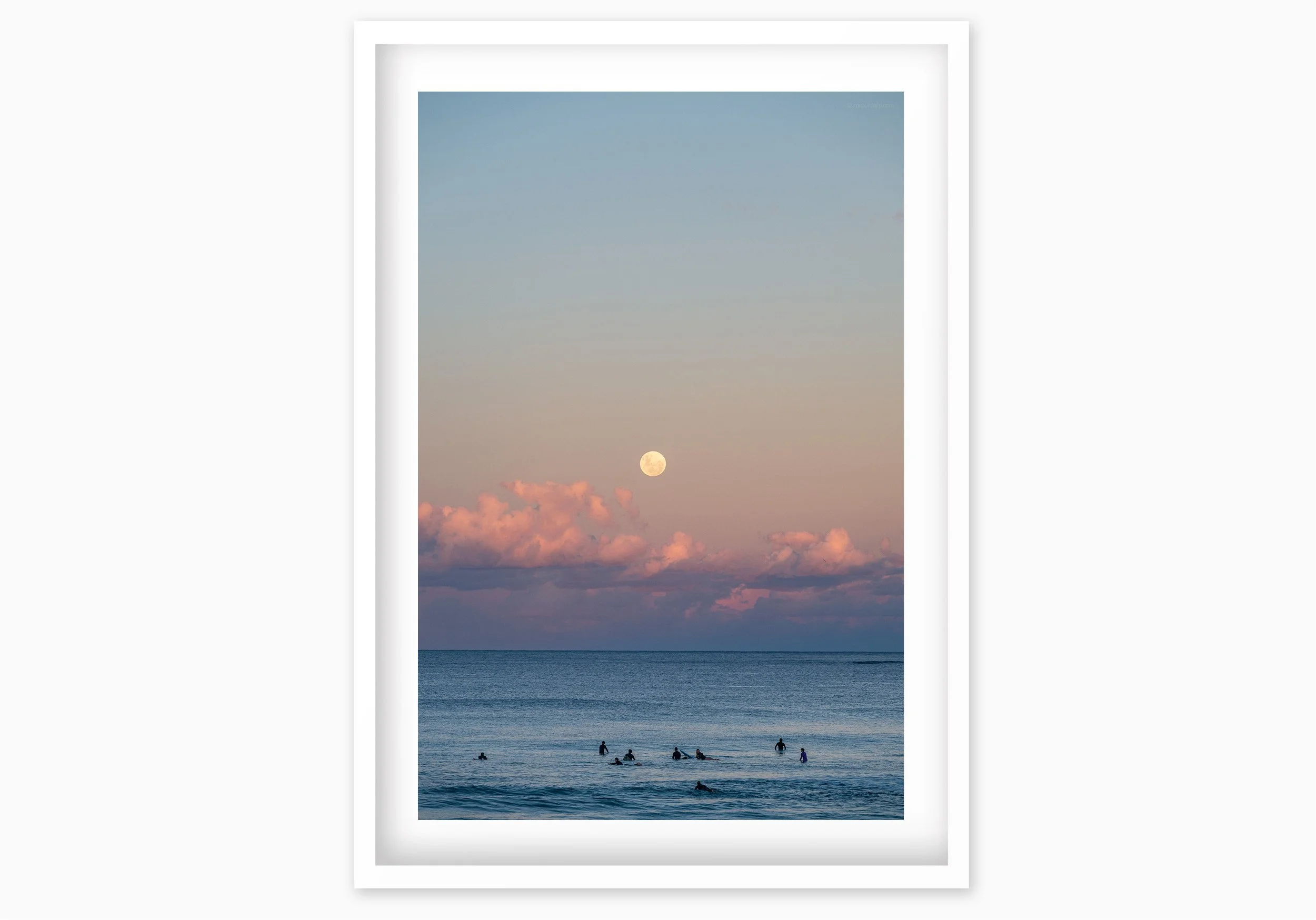 mfsprout__20260531_1271_WhiteBox-Frame-SproutDaily_PrintShop.jpg