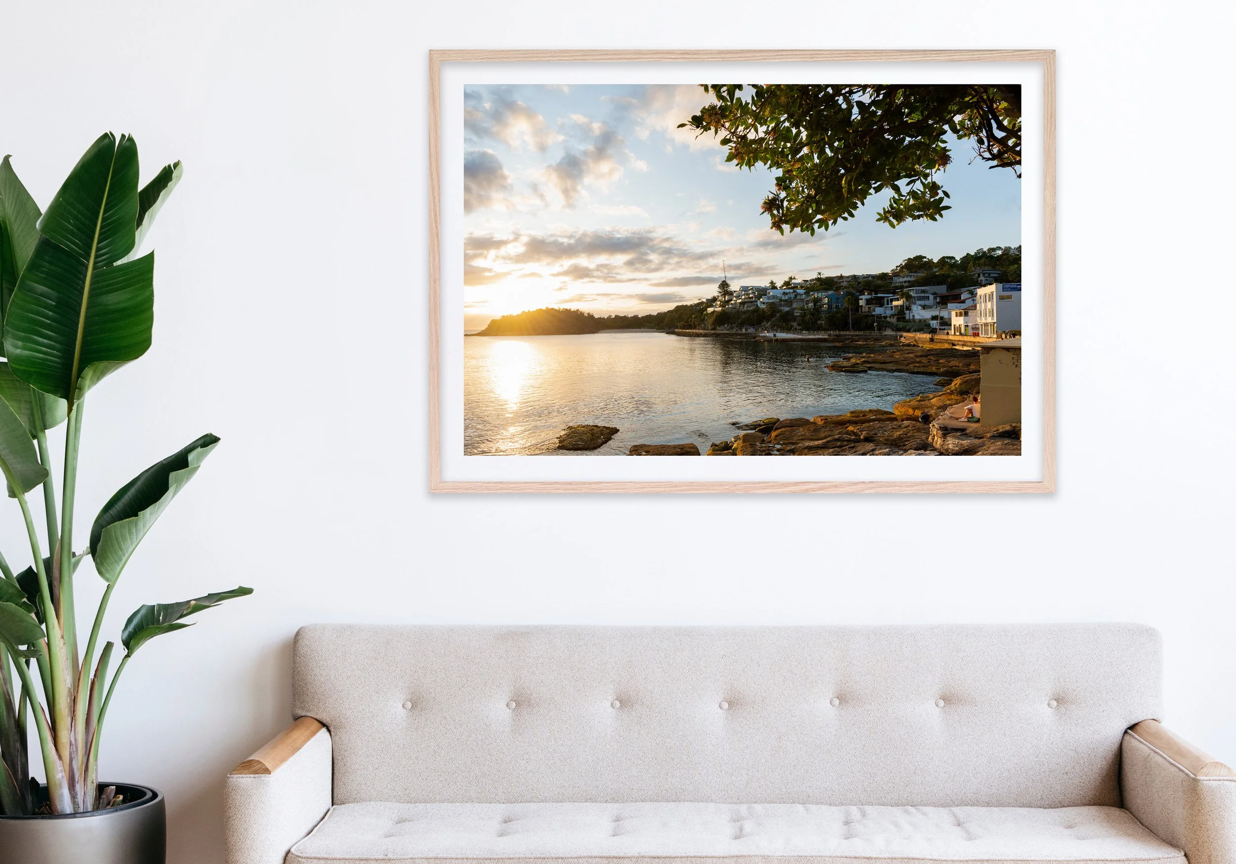Insitu_mfsprout_20240910_249-Edit-3_RawOak-Frame_SproutDaily_PrintShop.jpg