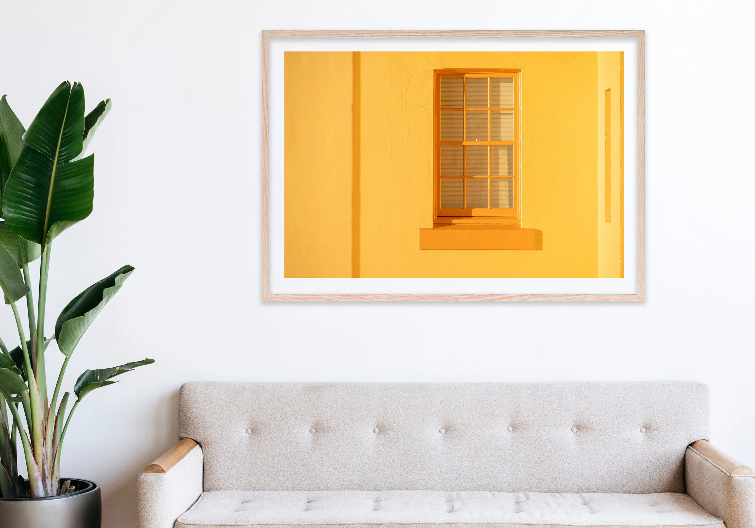 Insitu_mfsprout_20260806_362_RawOak-Frame_SproutDaily_PrintShop.jpg