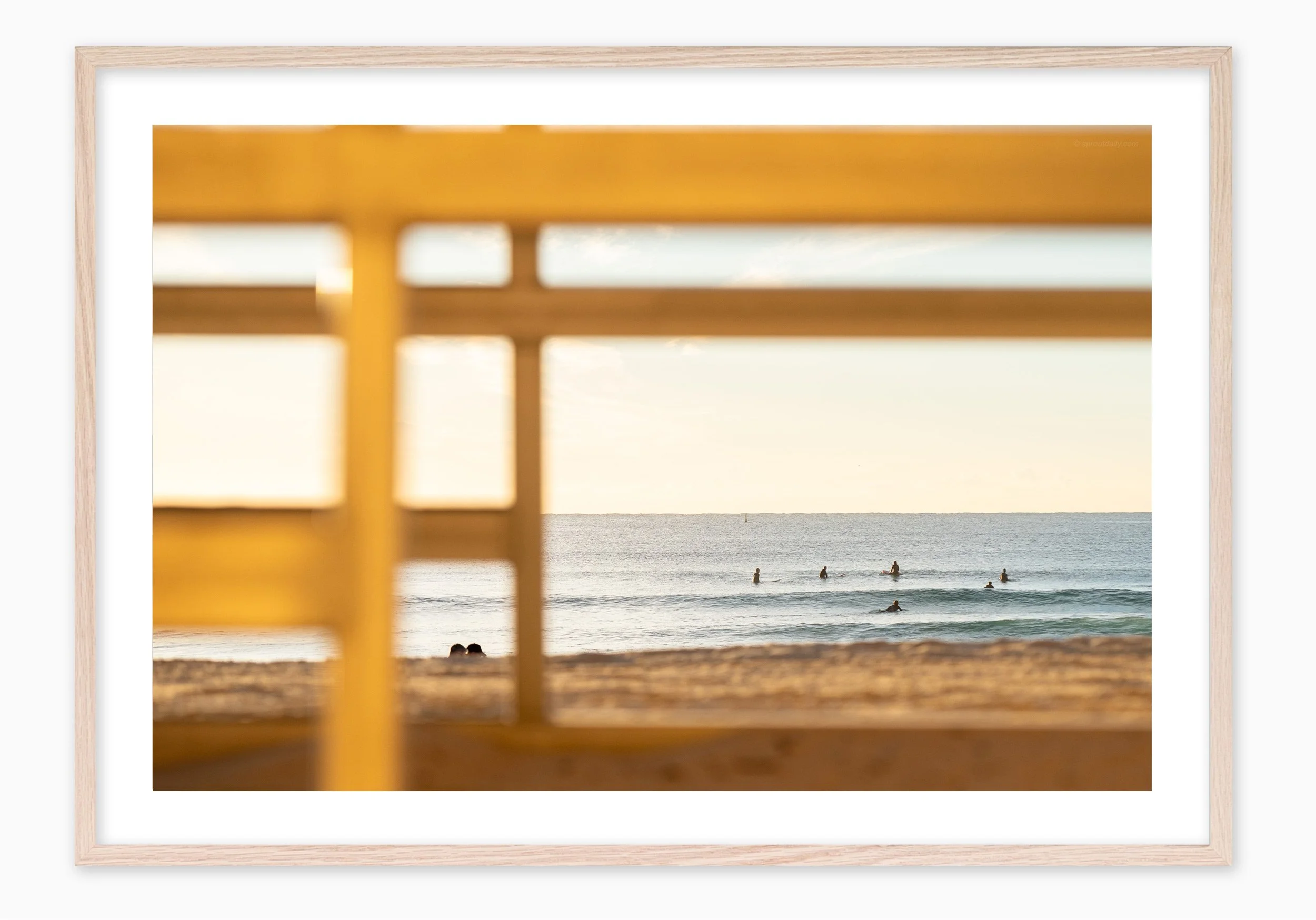 mfsprout_20260806_335_RawOak-Frame_SproutDaily_PrintShop.jpg