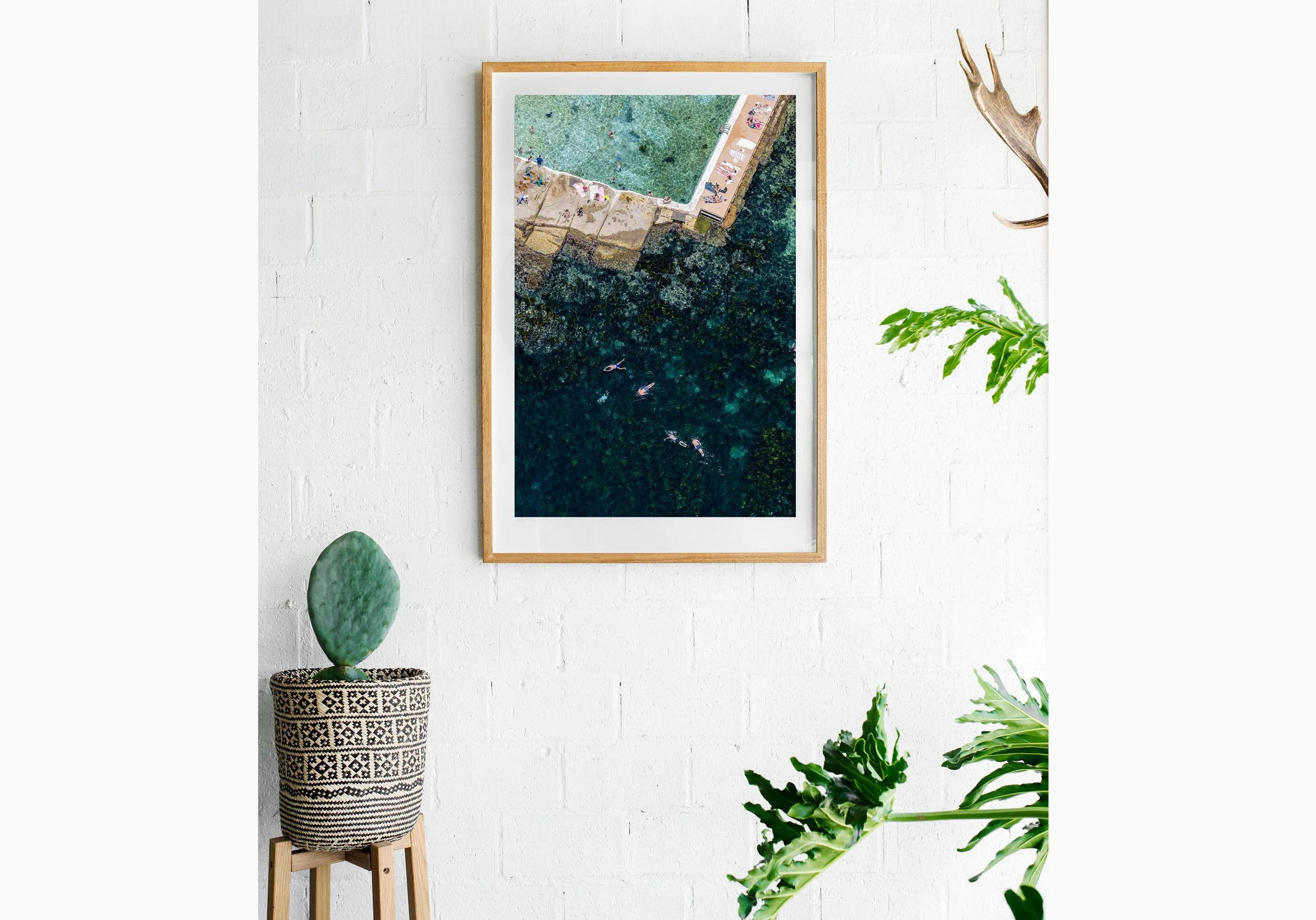 Insitu_mfsprout_20230204_1966-Edit_RawOak-Frame_SproutDaily_PrintShop.jpg