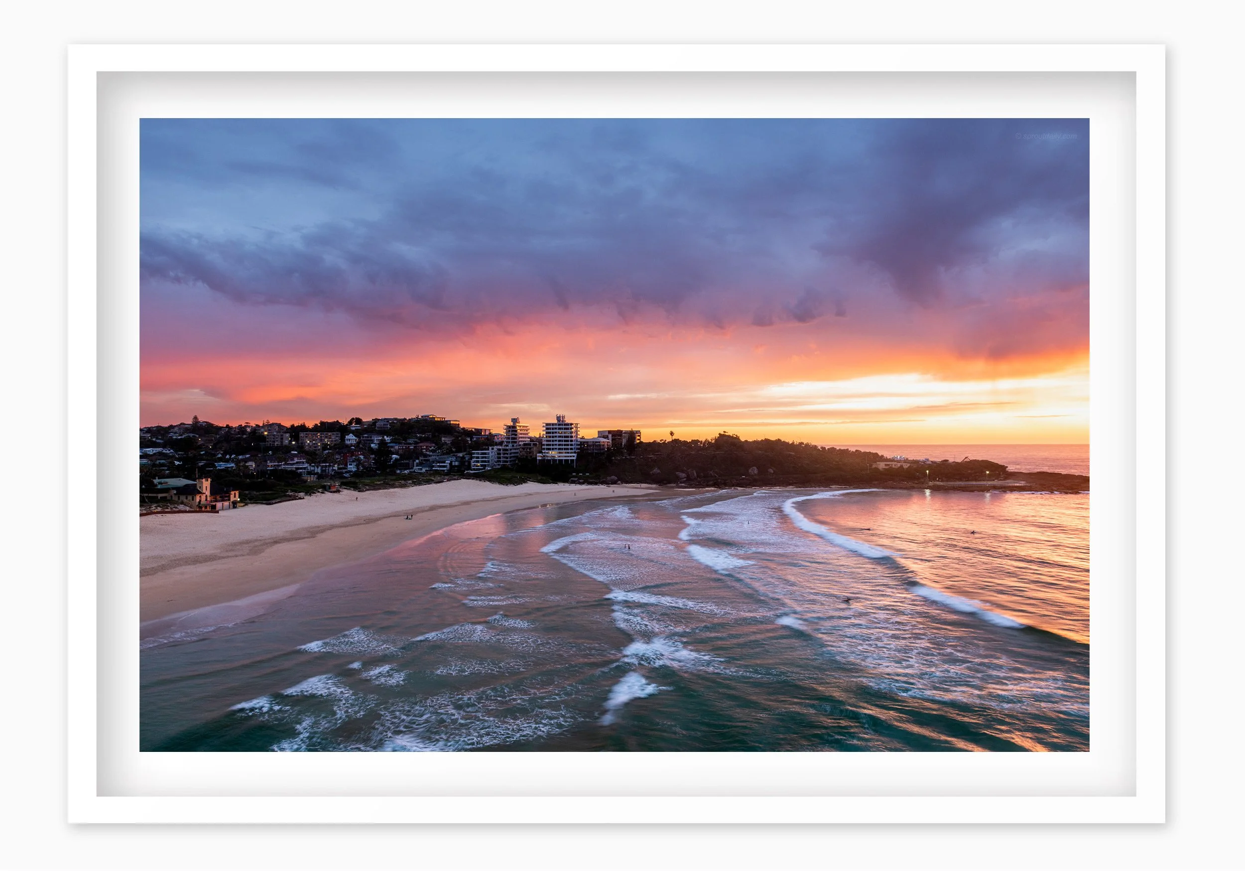 mfsprout_20260902_16-Edit_WhiteBox-Frame-SproutDaily_PrintShop.jpg