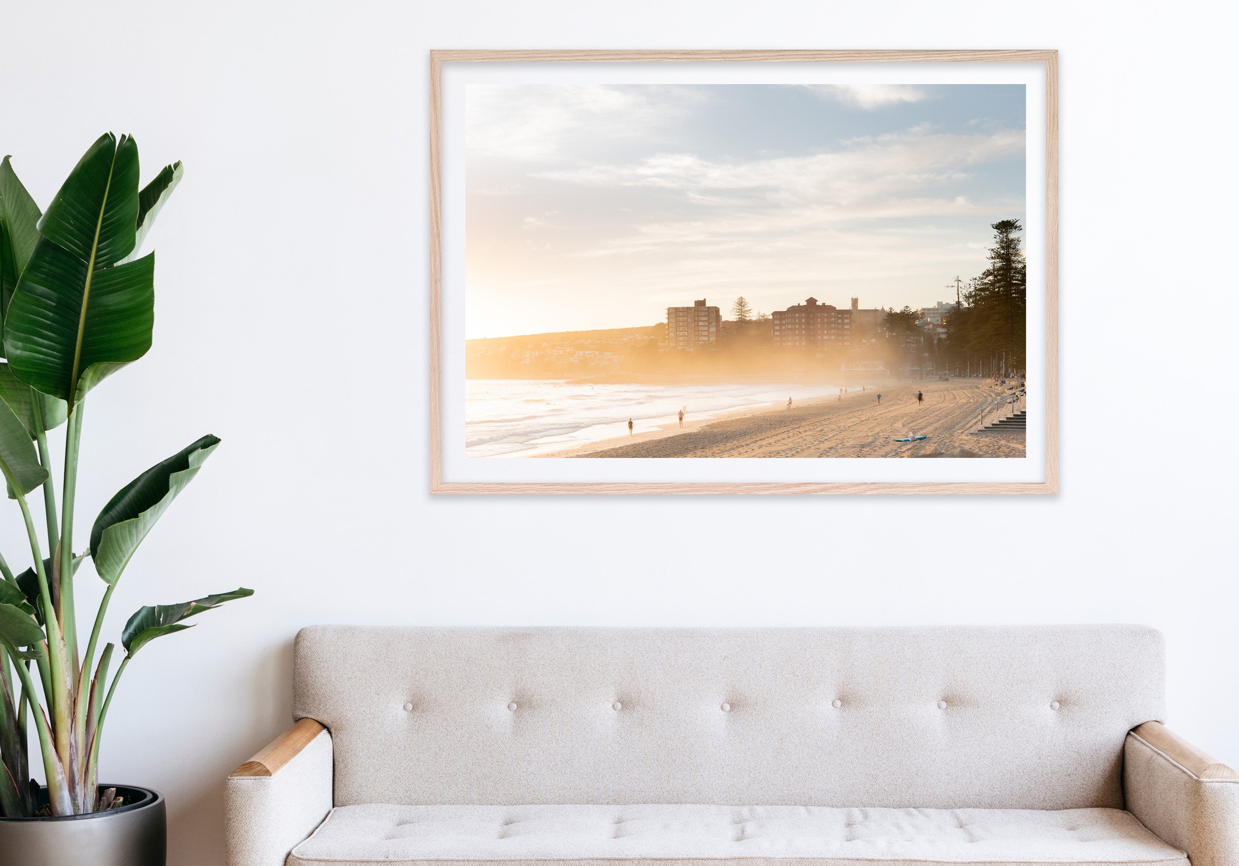 Insitu_mfsprout_20210113_314_RawOak-Frame_SproutDaily_PrintShop.jpg