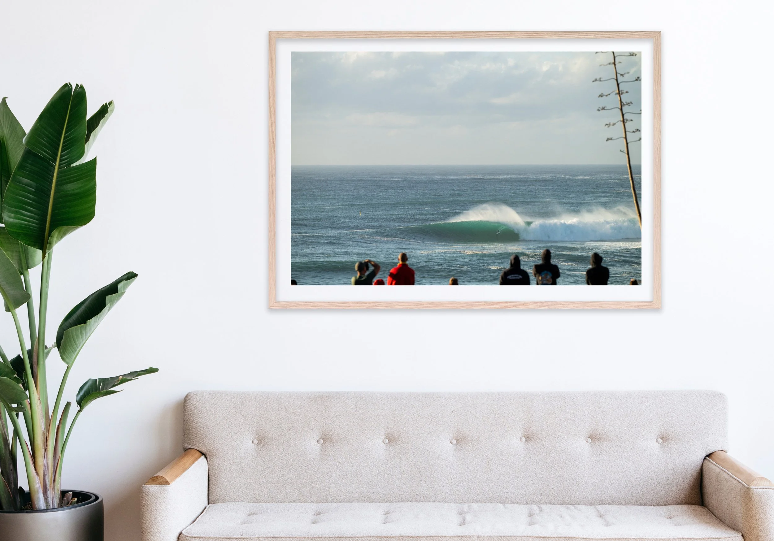 Insitu_mfsprout_20250418_879_RawOak-Frame_SproutDaily_PrintShop.jpg