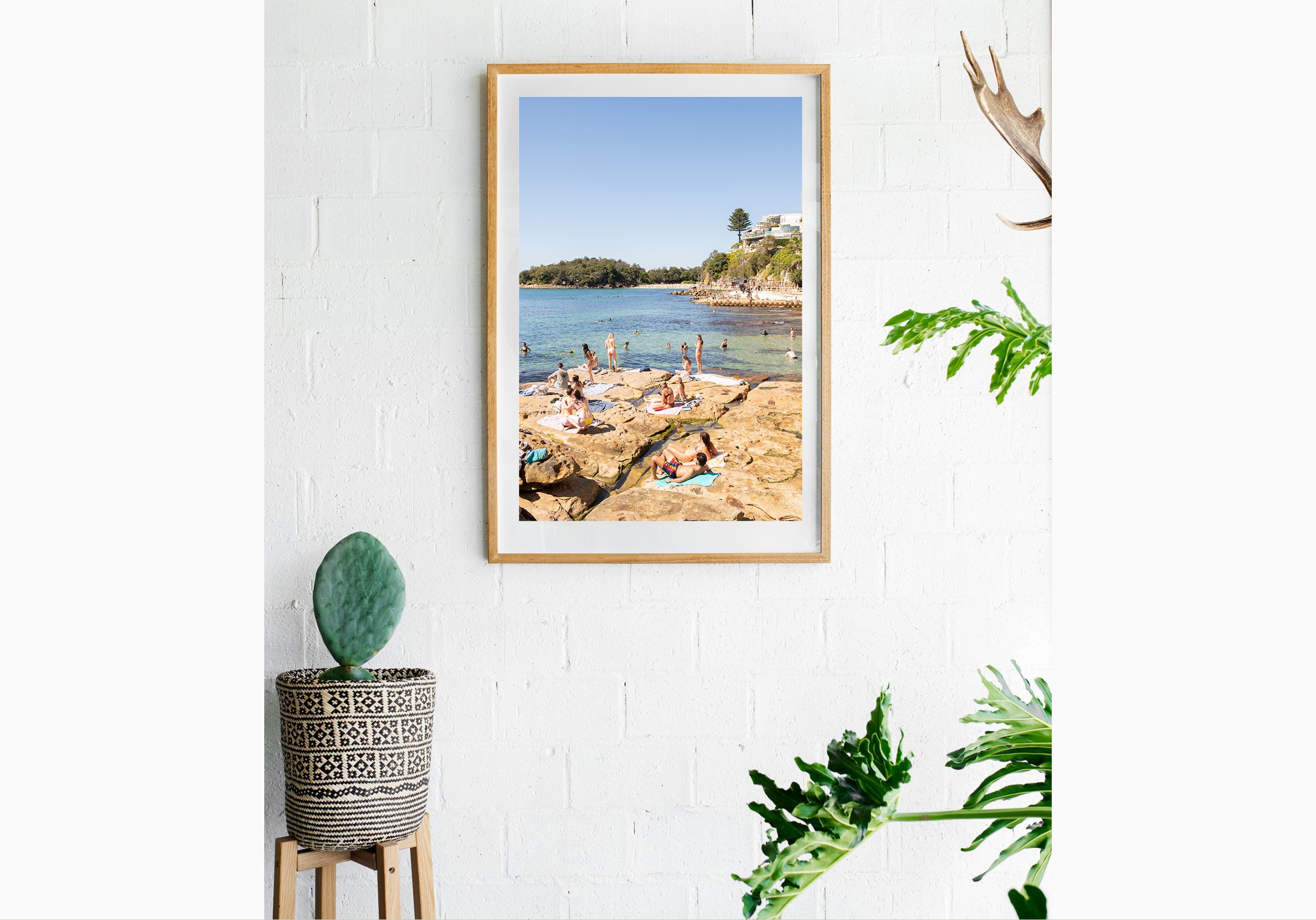 mfsprout_20250407_2340_RawOak-Frame_SproutDaily_PrintShop-insitu.jpg