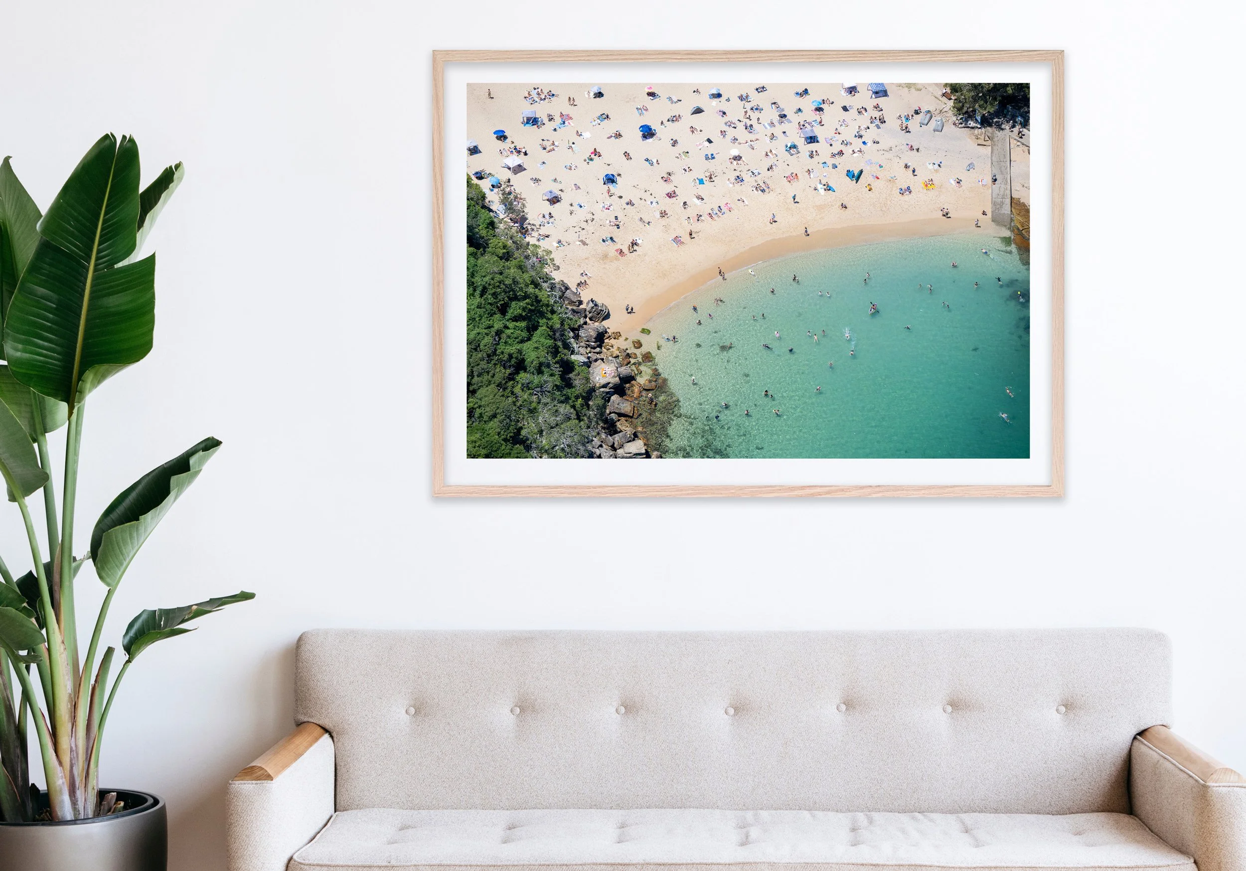 Insitu_mfsprout_20230204_984_RawOak-Frame_SproutDaily_PrintShop.jpg