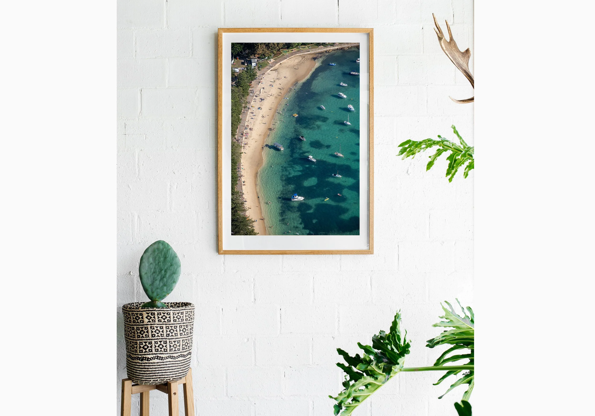 Insitu_mfsprout_20201206_2192_RawOak-Frame_SproutDaily_PrintShop.jpg