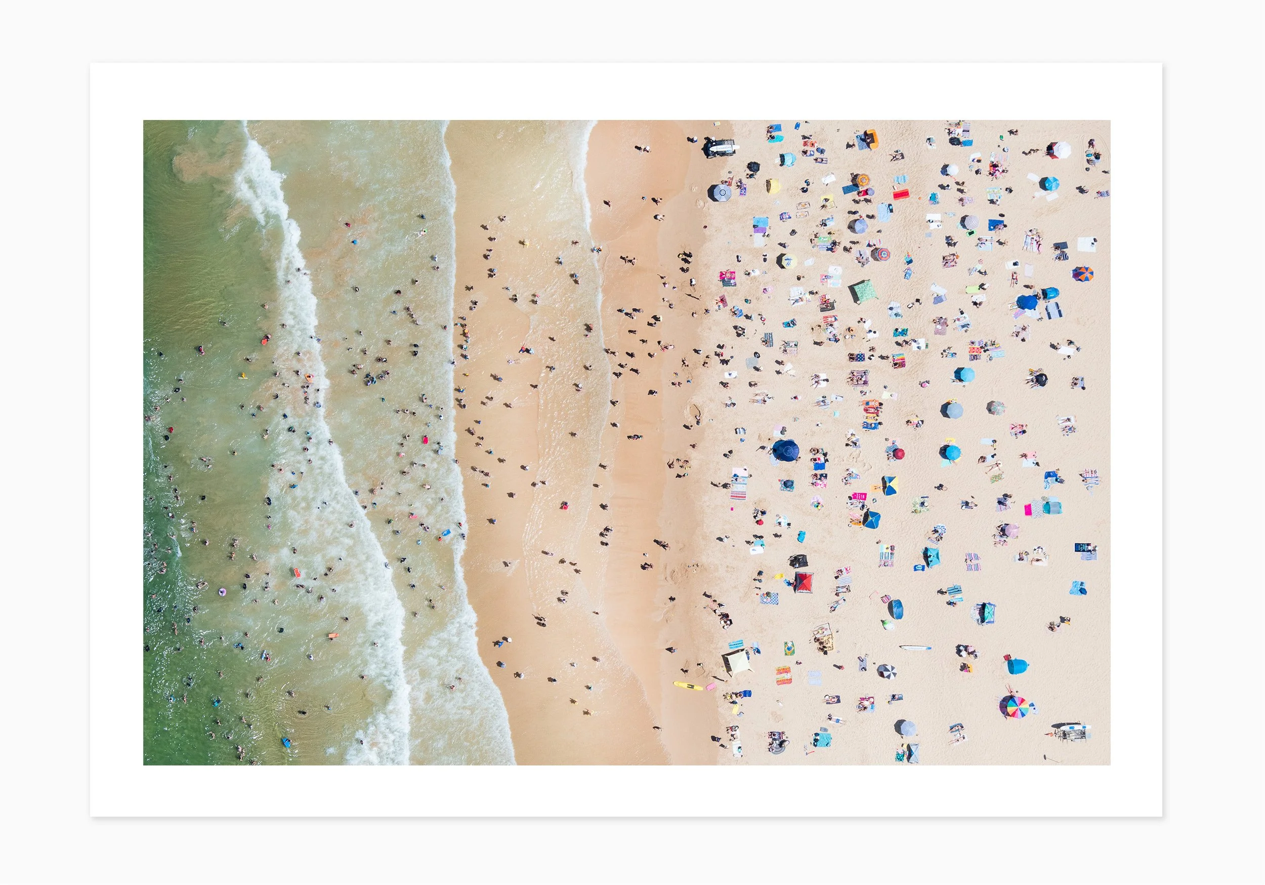 mfsprout_20190101-3200-Edit-4_PrintOnly-SproutDaily_PrintShop.jpg