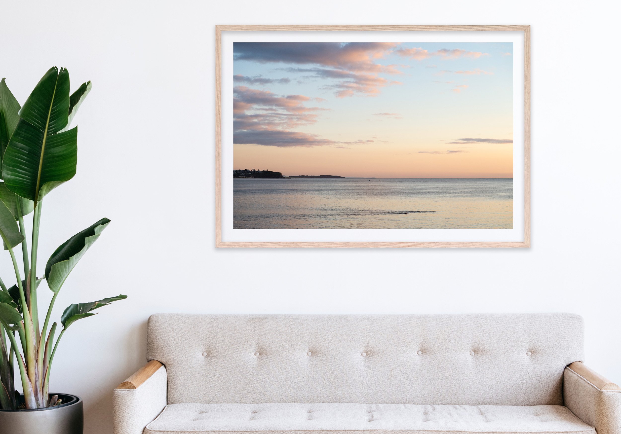 Insitu_mfsprout_20260904_189_RawOak-Frame_SproutDaily_PrintShop.jpg
