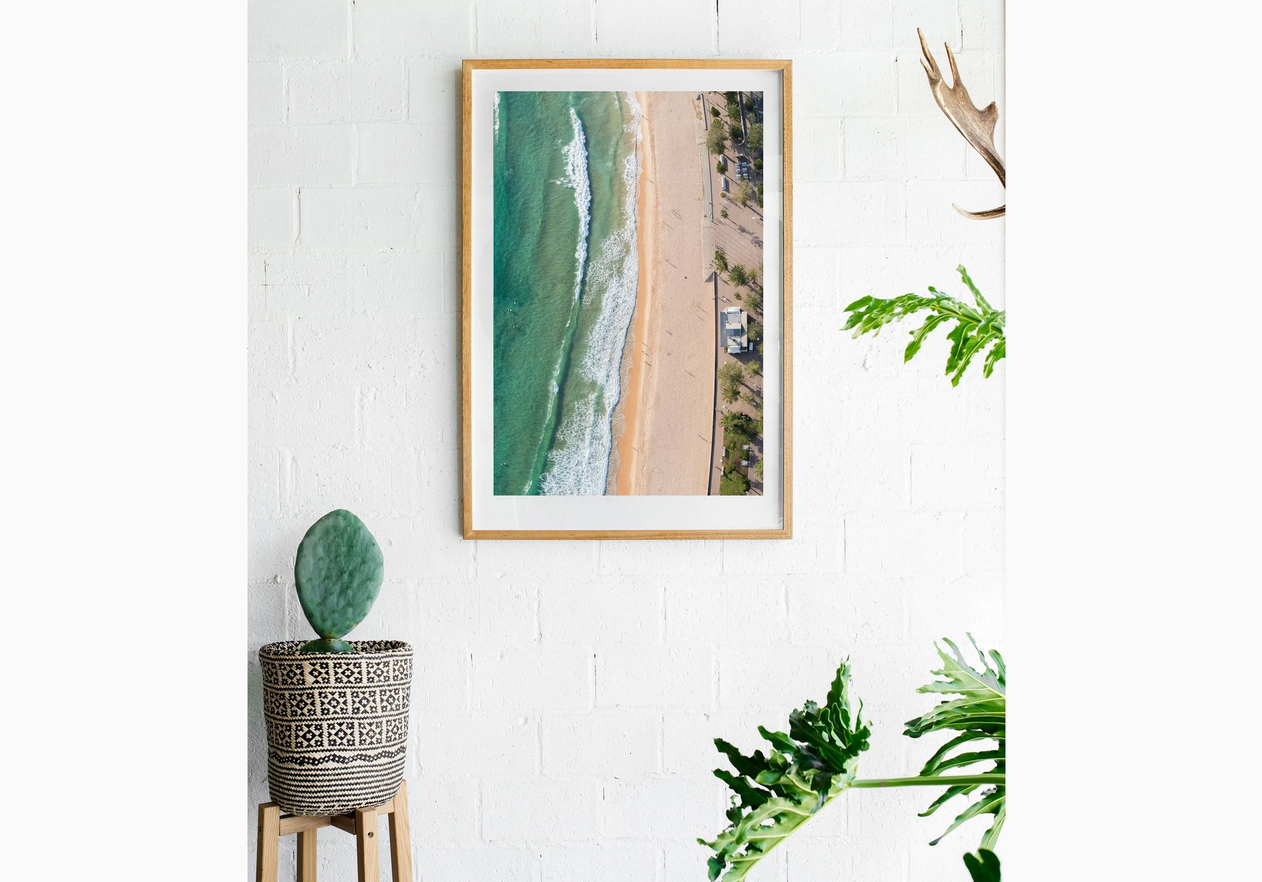 Insitu_mfsprout_20181203_518_RawOak-Frame_SproutDaily_PrintShop.jpg
