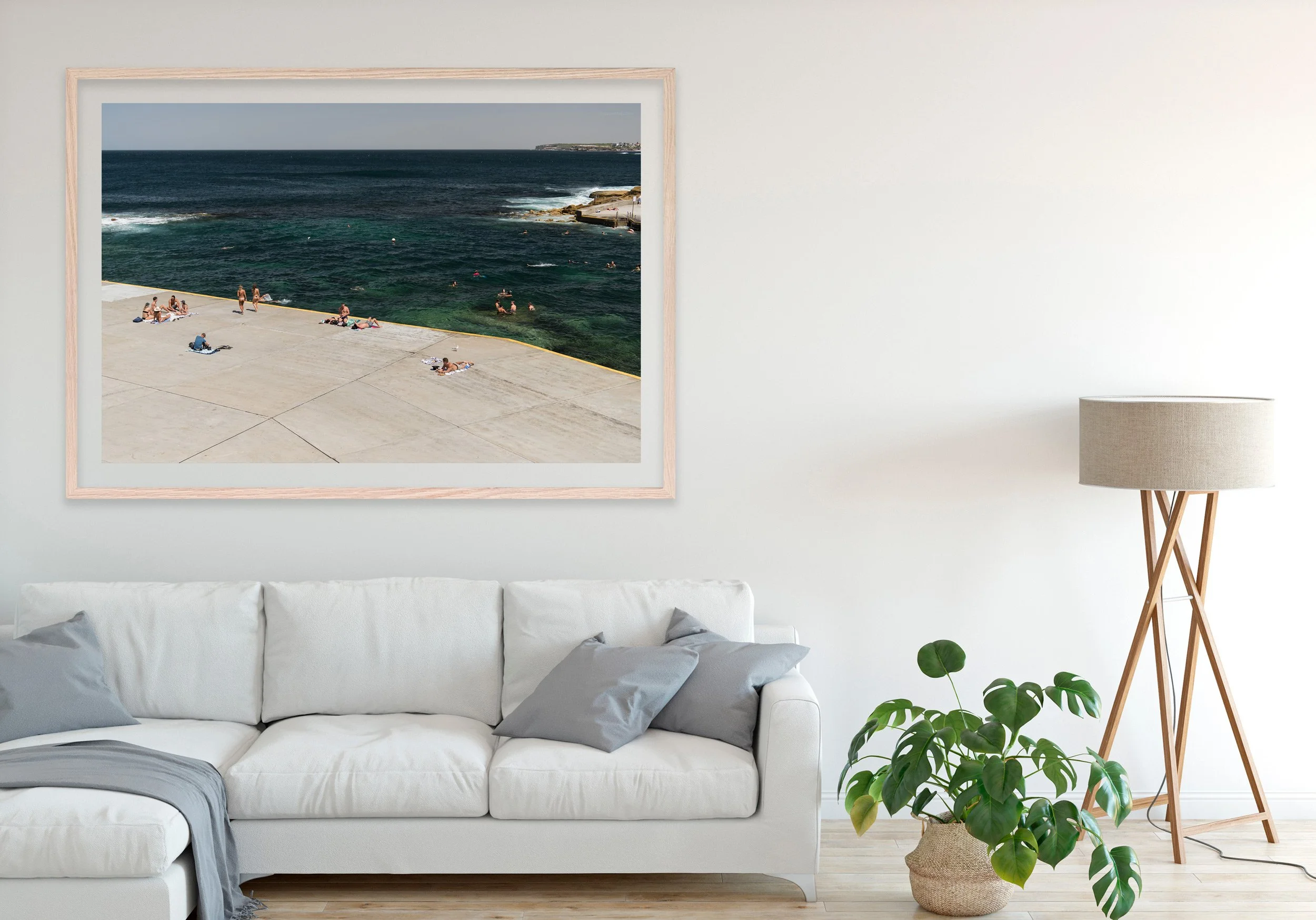 Insitu_mfsprout_20190212_1219_RawOak-Frame_SproutDaily_PrintShop.jpg