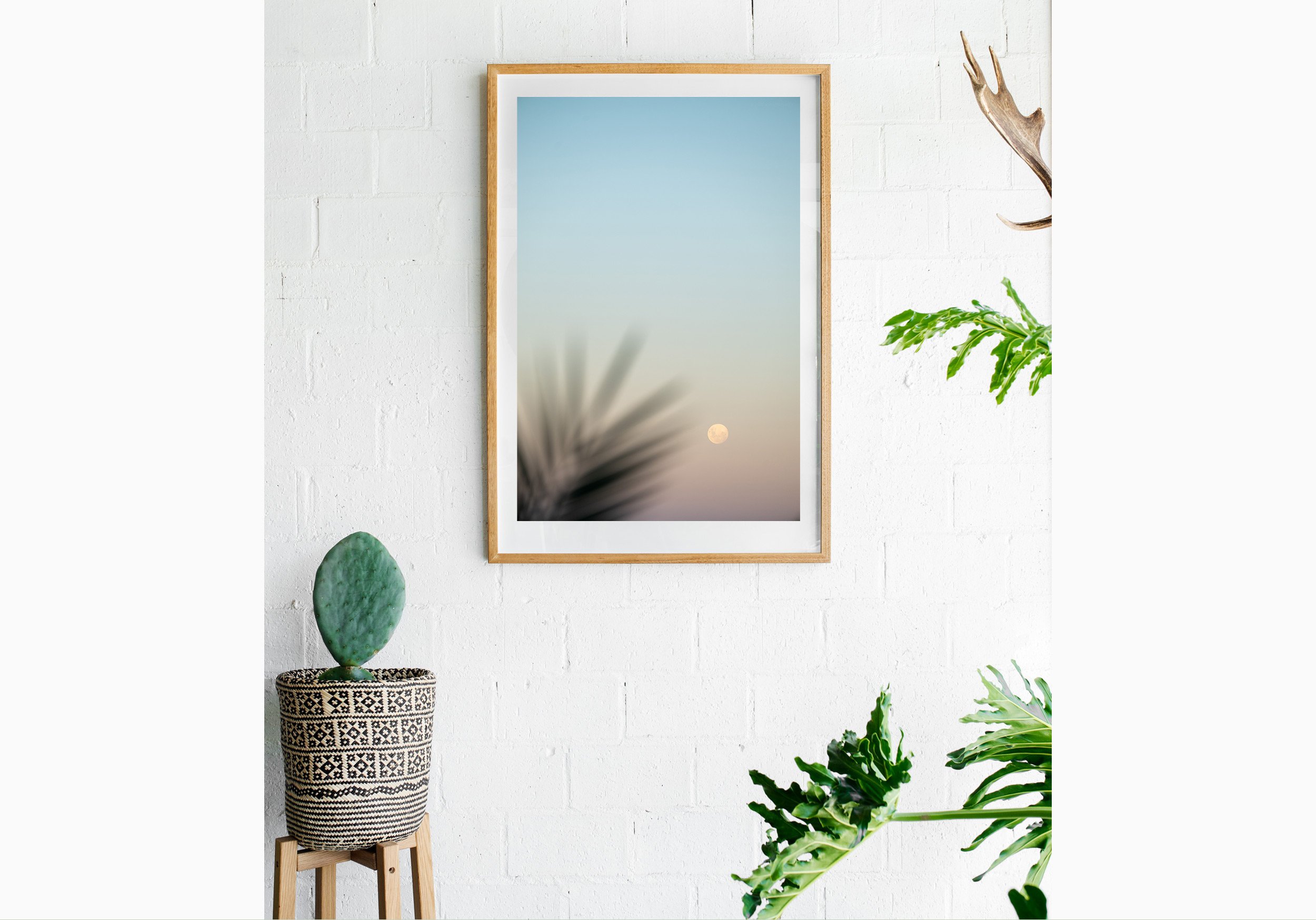 mfsprout_20250313_1047_RawOak-Frame_SproutDaily_PrintShop-Insitu.jpg