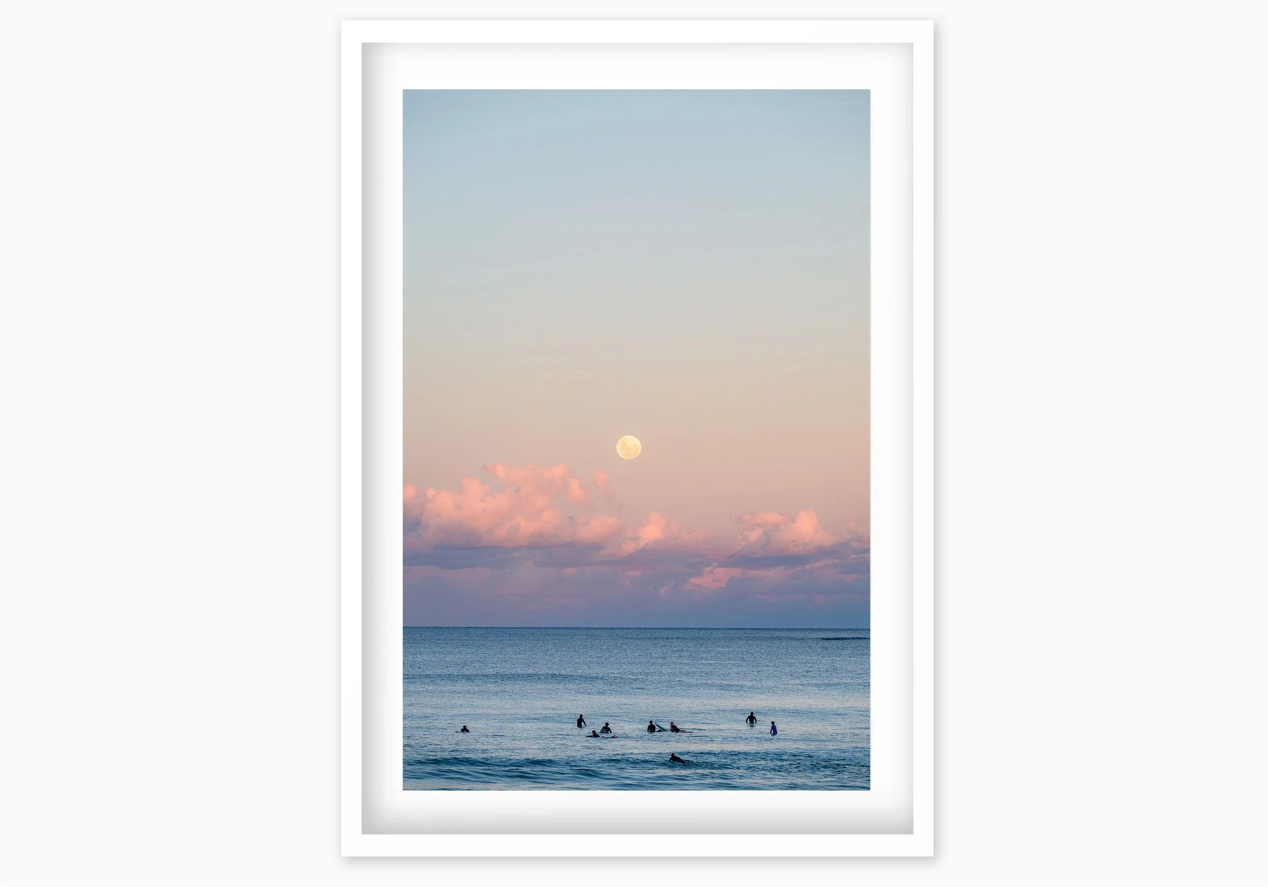 mfsprout__20260531_1271_WhiteBox-Frame-SproutDaily_PrintShop.jpg