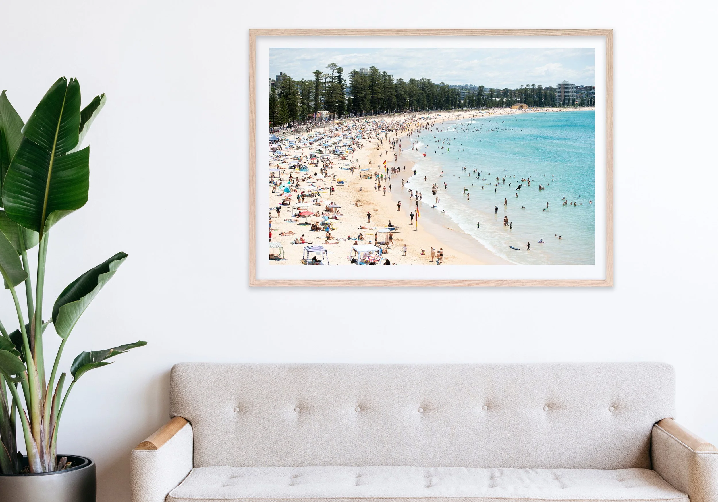 Insitu_mfsprout_20231230_90_RawOak-Frame_SproutDaily_PrintShop.jpg