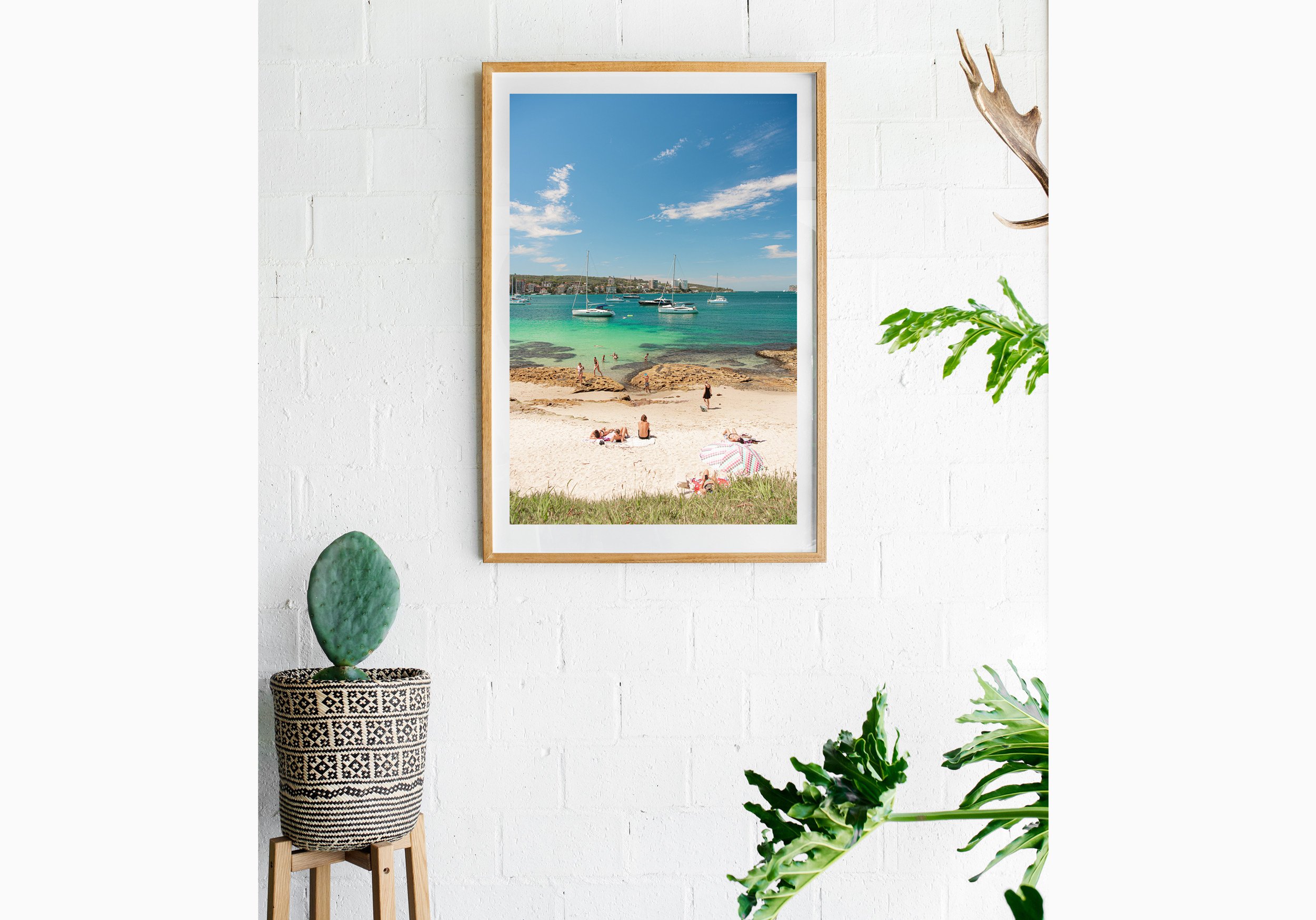 Insitu_mfsprout_20210125_437_RawOak-Frame_SproutDaily_PrintShop.jpg