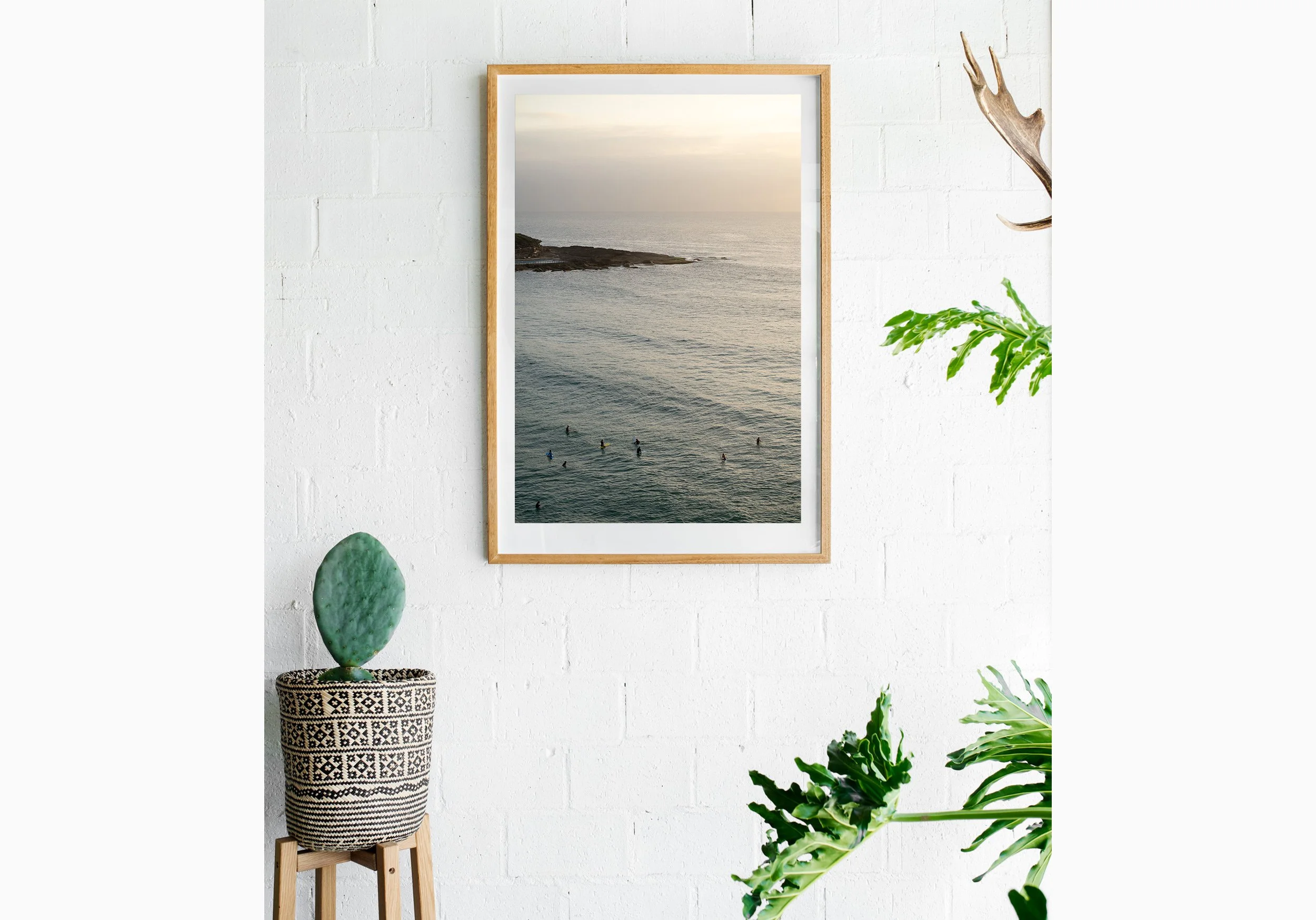 mfsprout_20260206_439_RawOakBox-Insitu-SproutDaily_PrintShop.jpg