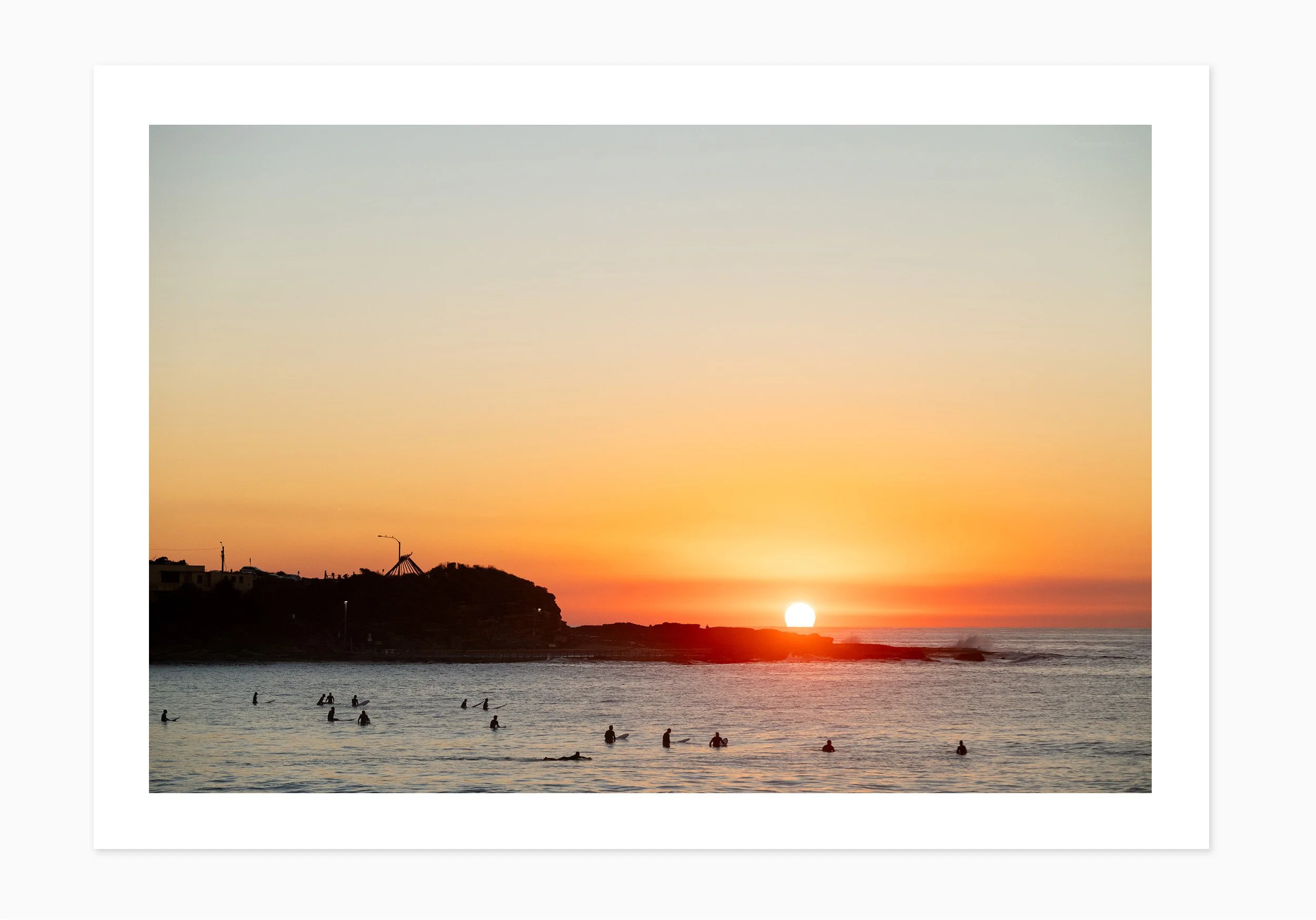 mfsprout__20260417_124_PrintOnly-SproutDaily_PrintShop.jpg