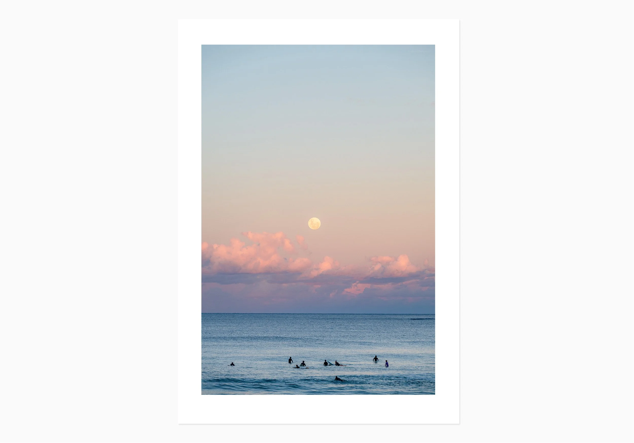 mfsprout__20260531_1271_PrintOnly-SproutDaily_PrintShop.jpg