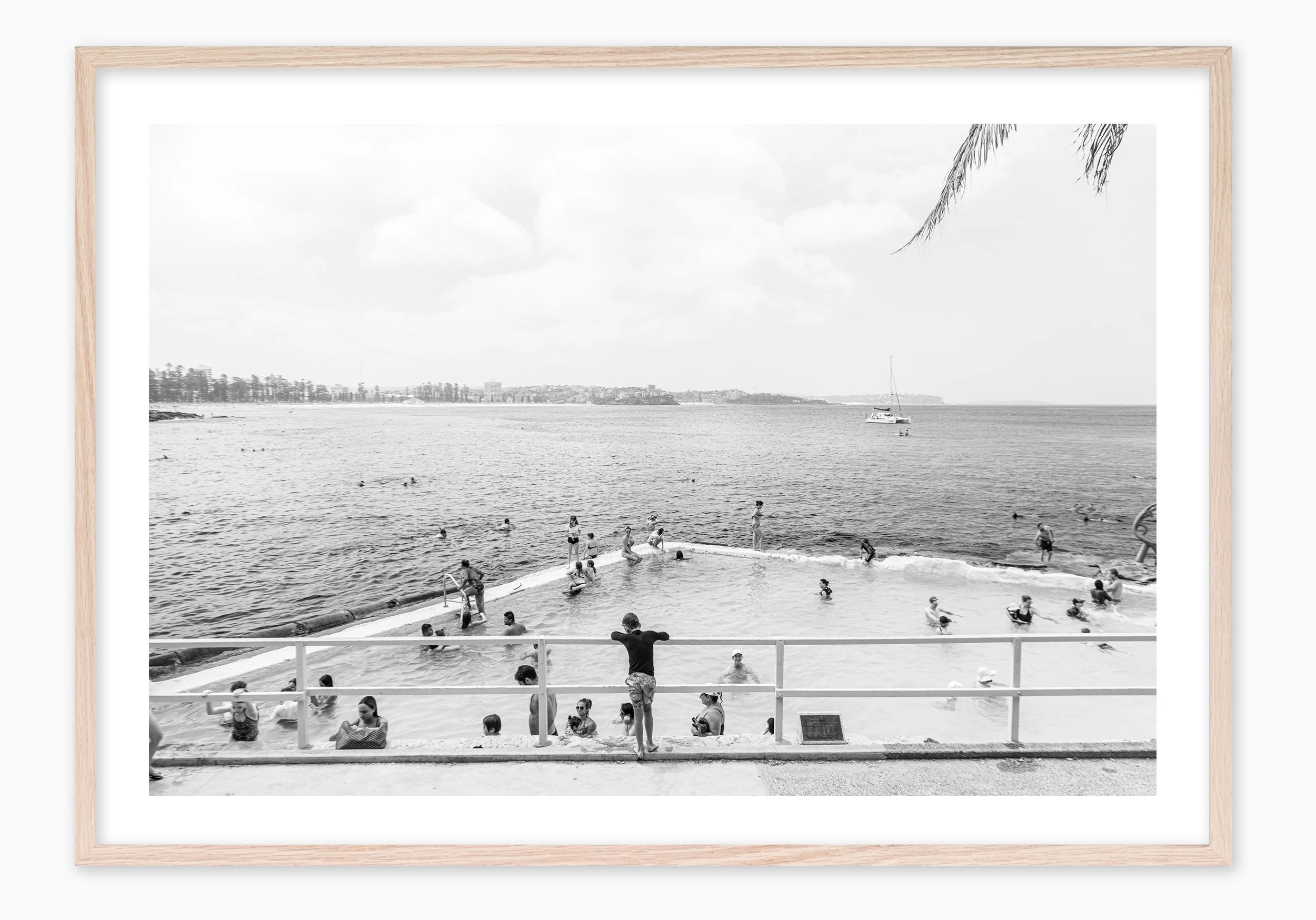 mfsprout_20190127-136_RawOak-Frame_SproutDaily_PrintShop.jpg