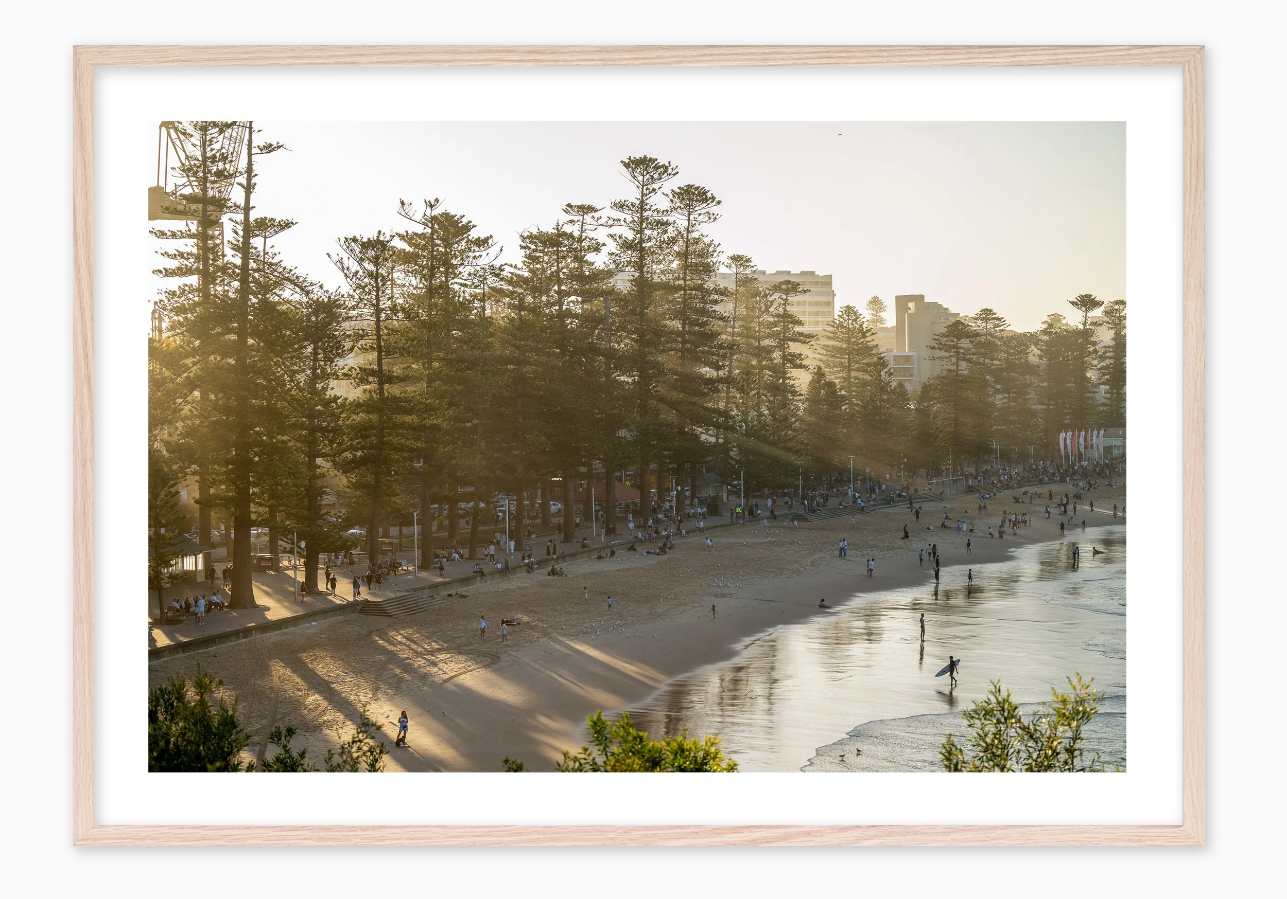 mfsprout_20250418_1490_RawOak-Frame_SproutDaily_PrintShop.jpg