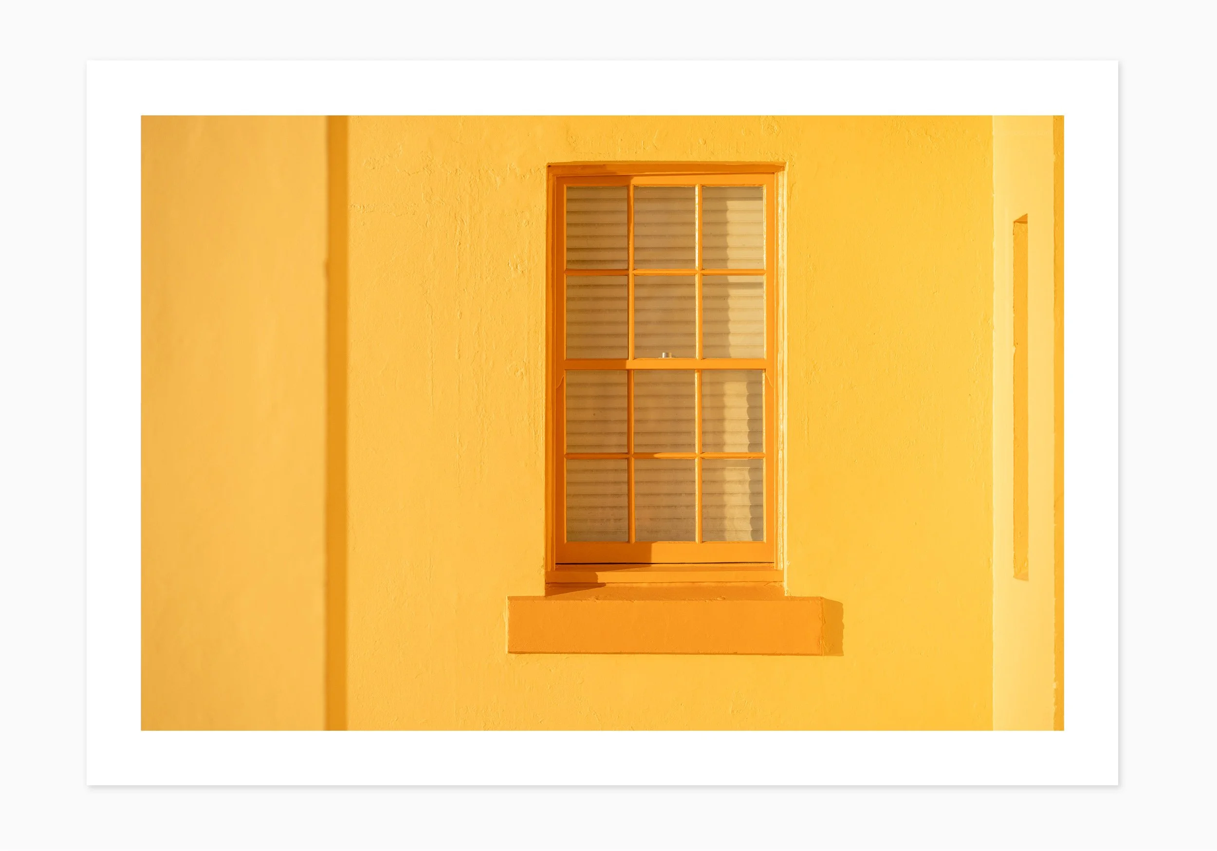 mfsprout_20260806_362_PrintOnly-SproutDaily_PrintShop.jpg
