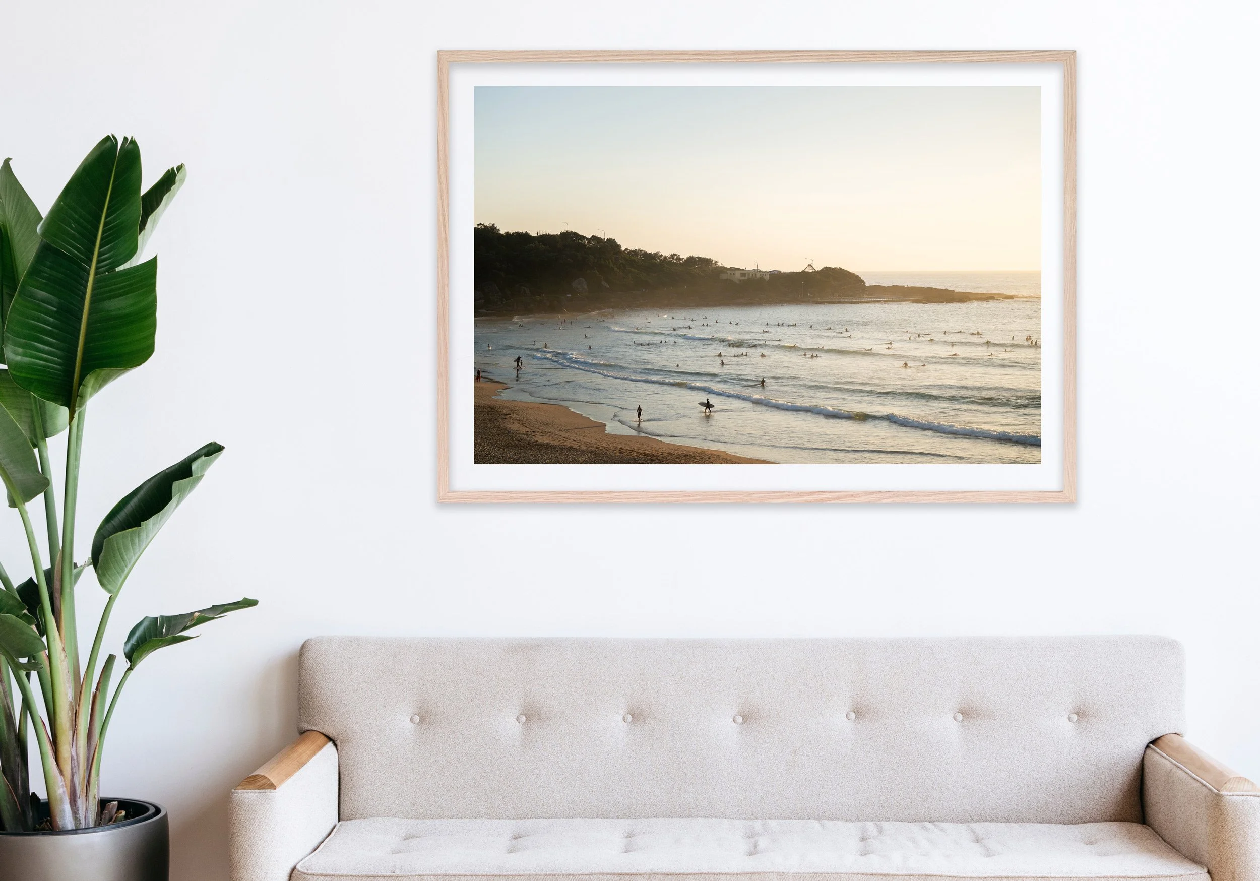 Insitu_mfsprout_20250207_333_RawOak-Frame_SproutDaily_PrintShop.jpg