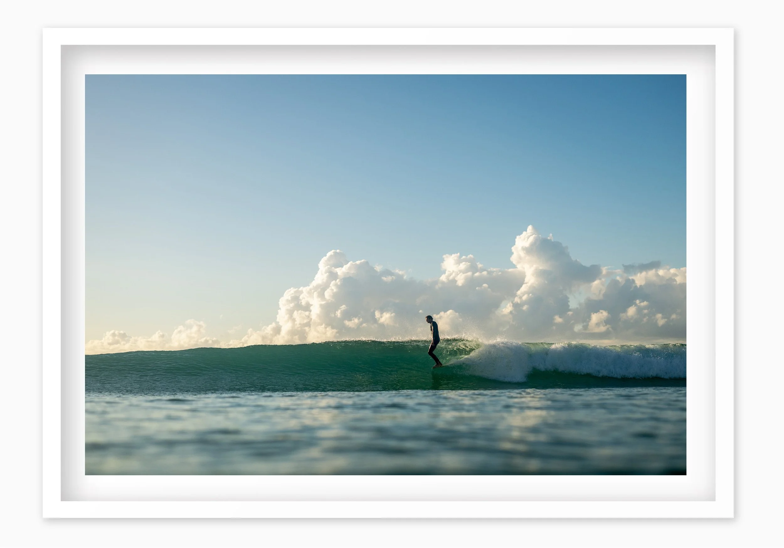 mfsprout_20240806_813_WhiteBox-Frame-SproutDaily_PrintShop.jpg