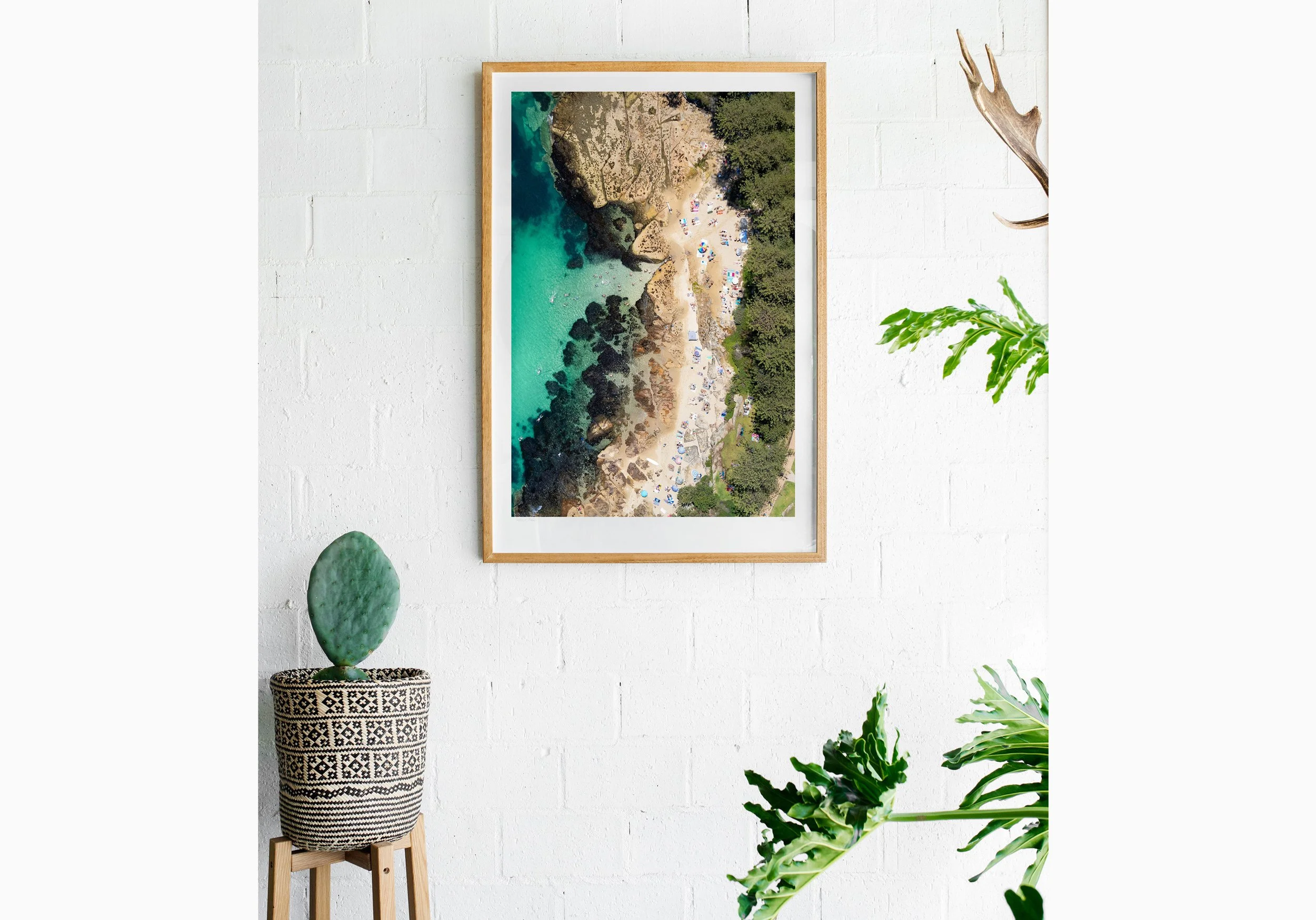 Insitu_mfsprout_20190101-3400_RawOak-Frame_SproutDaily_PrintShop.jpg