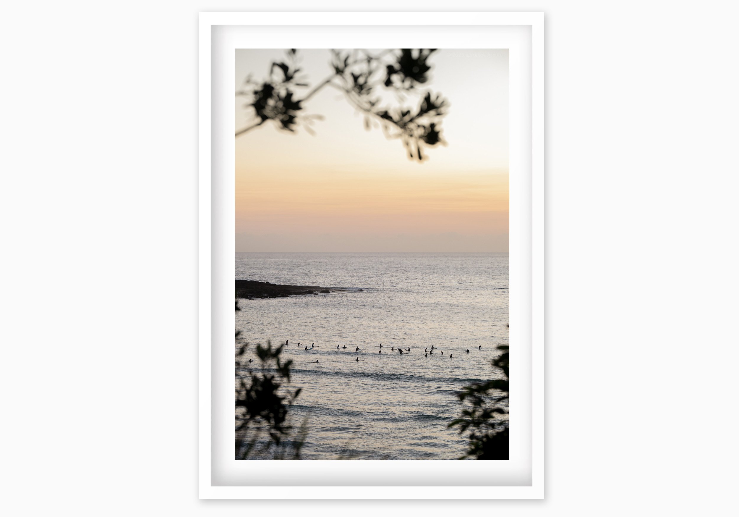 mfsprout_20250207_7_WhiteBox-Frame-SproutDaily_PrintShop.jpg