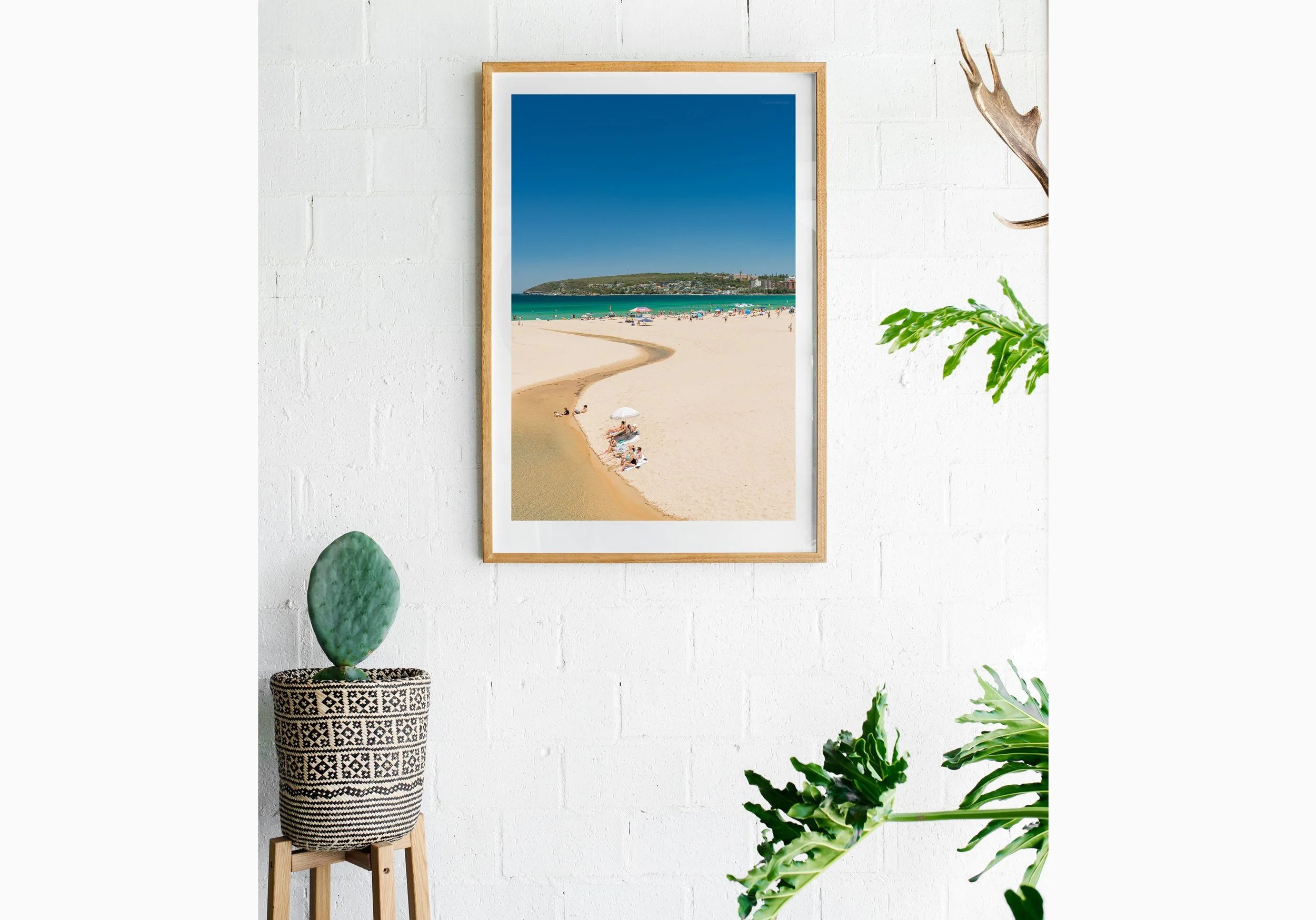 Insitu_mfsprout_20201206_210_RawOak-Frame_SproutDaily_PrintShop.jpg