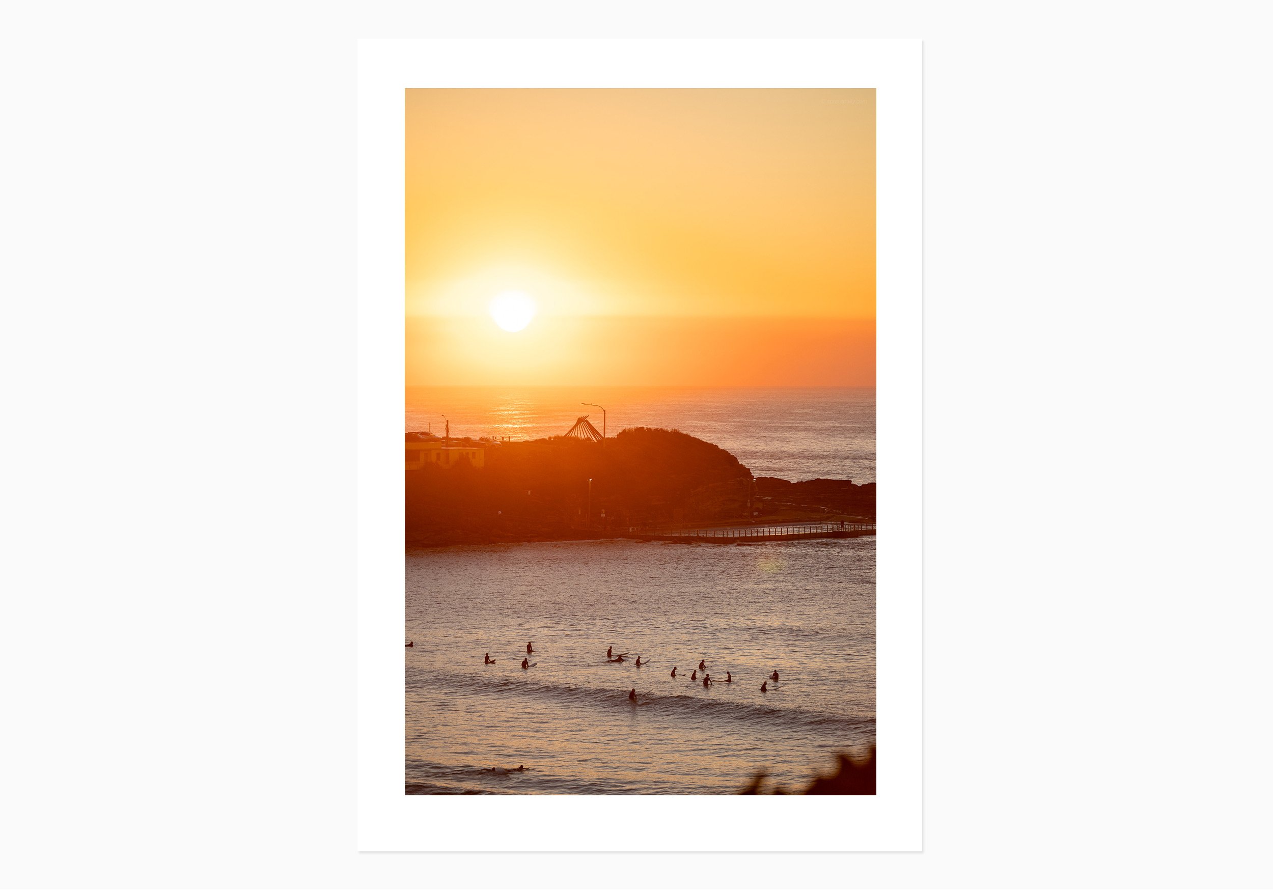 mfsprout__20260415_22_PrintOnly-SproutDaily_PrintShop.jpg