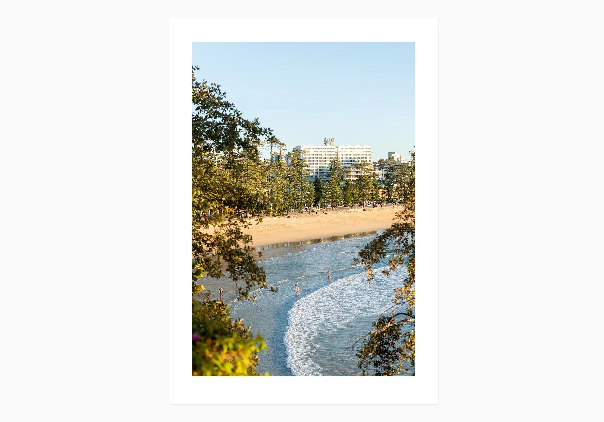 mfsprout_20220622_299_PrintOnly-SproutDaily_PrintShop.jpg