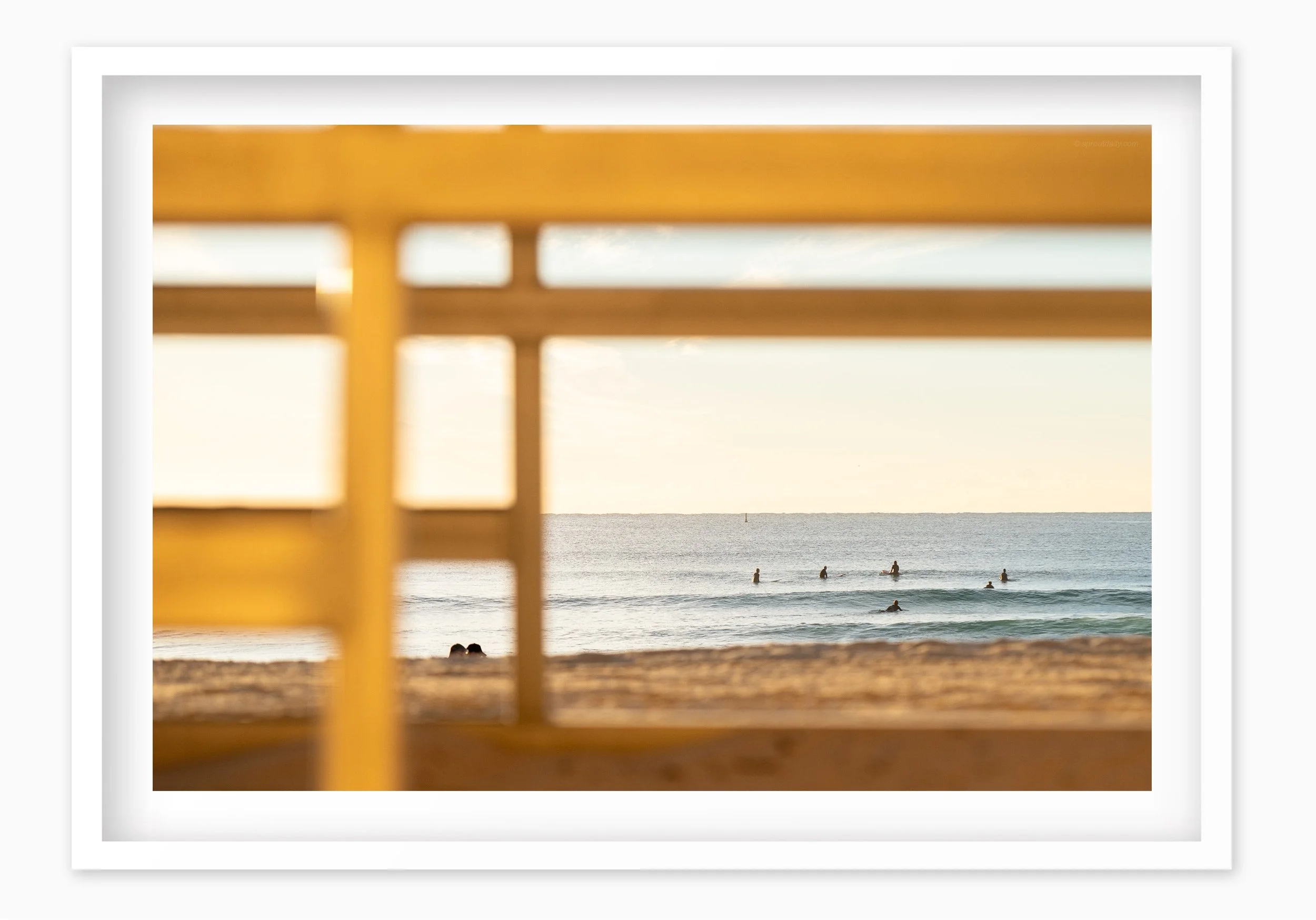 mfsprout_20260806_335_WhiteBox-Frame-SproutDaily_PrintShop.jpg