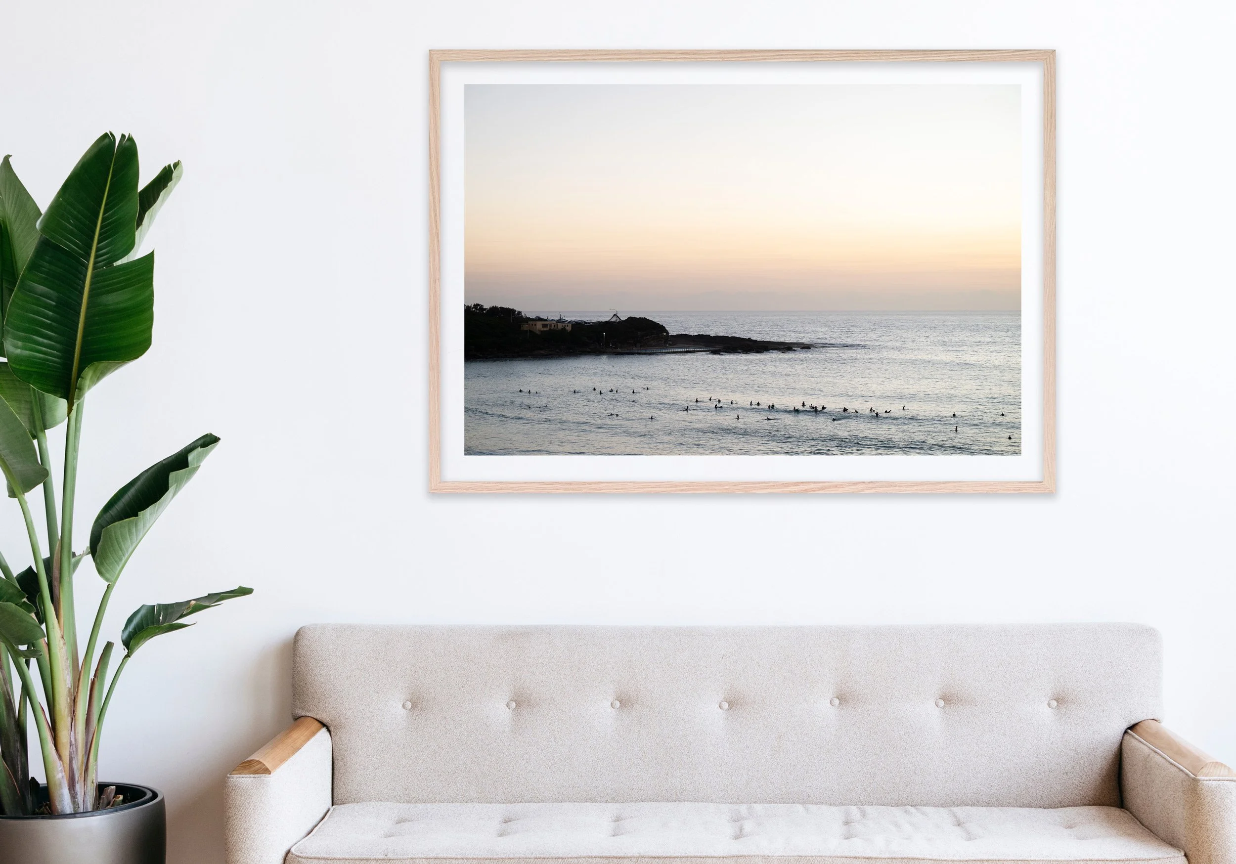 Insitu_mfsprout_20250207_9_RawOak-Frame_SproutDaily_PrintShop.jpg