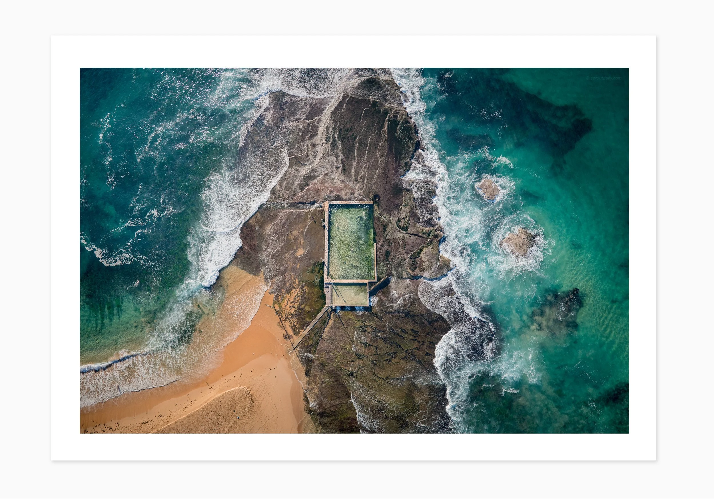 mfsprout_20190815_602_PrintOnly-SproutDaily_PrintShop.jpg