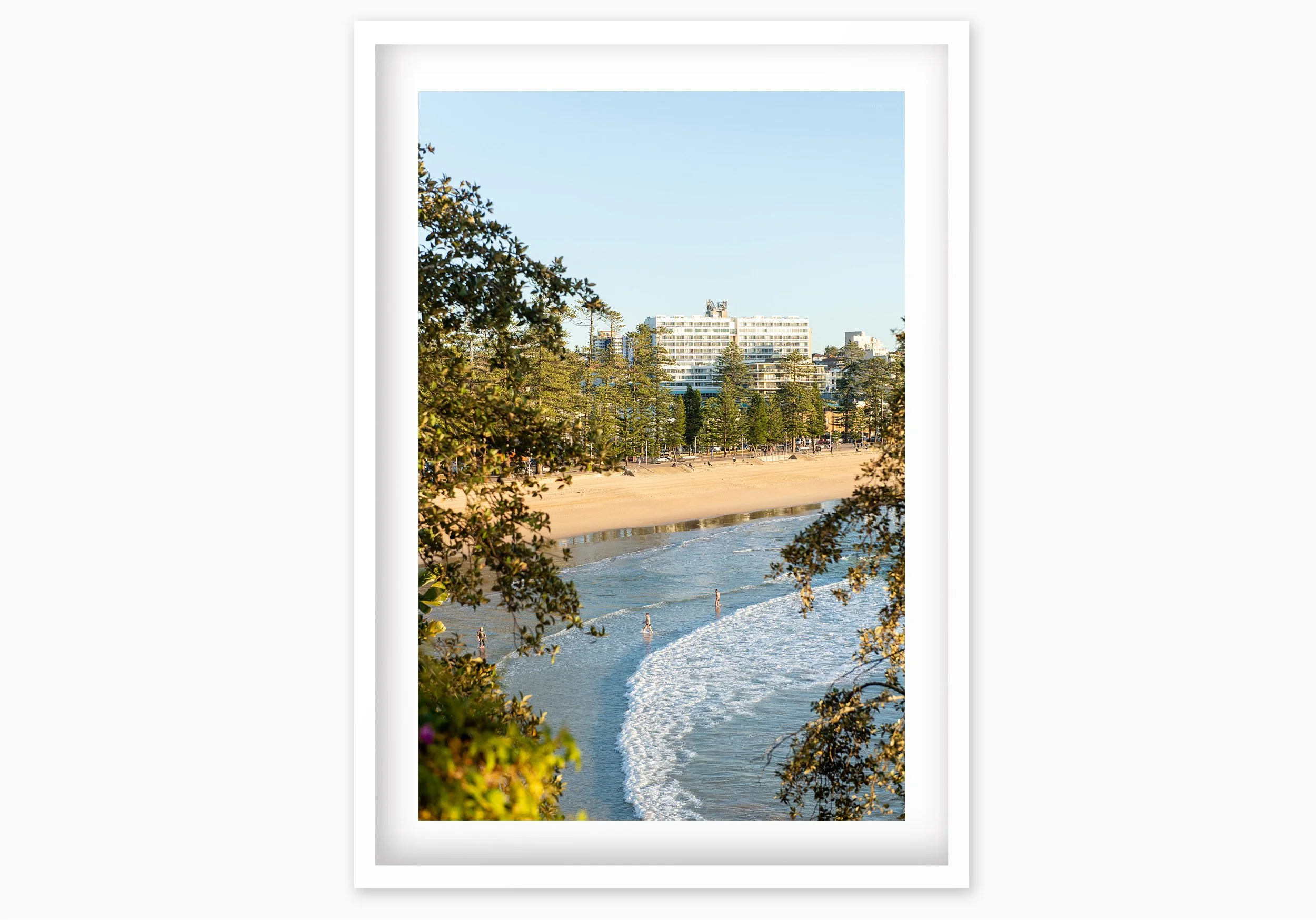 mfsprout_20220622_299_WhiteBox-Frame-SproutDaily_PrintShop.jpg