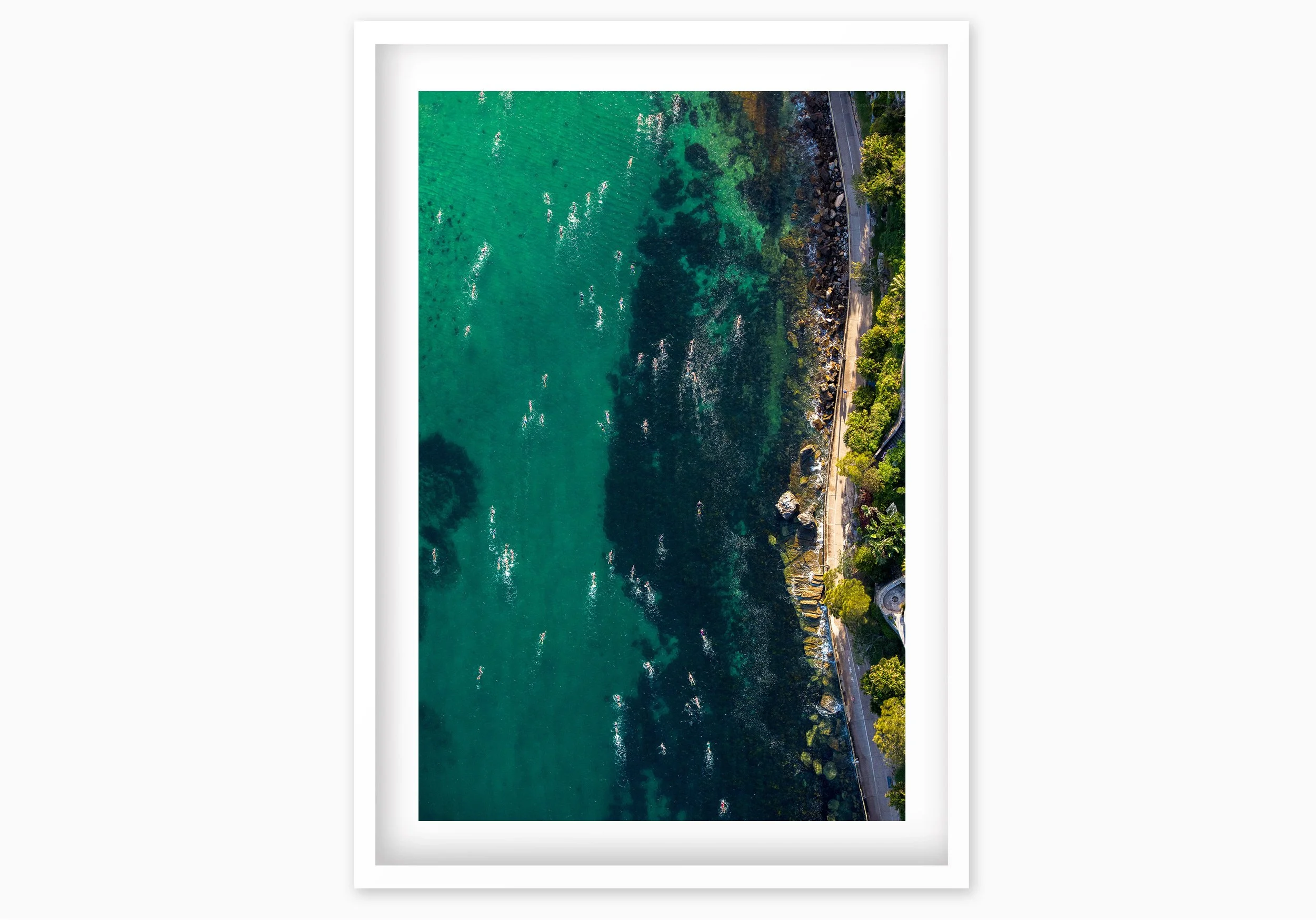 mfsprout_20181203_1124_WhiteBox-Frame-SproutDaily_PrintShop.jpg