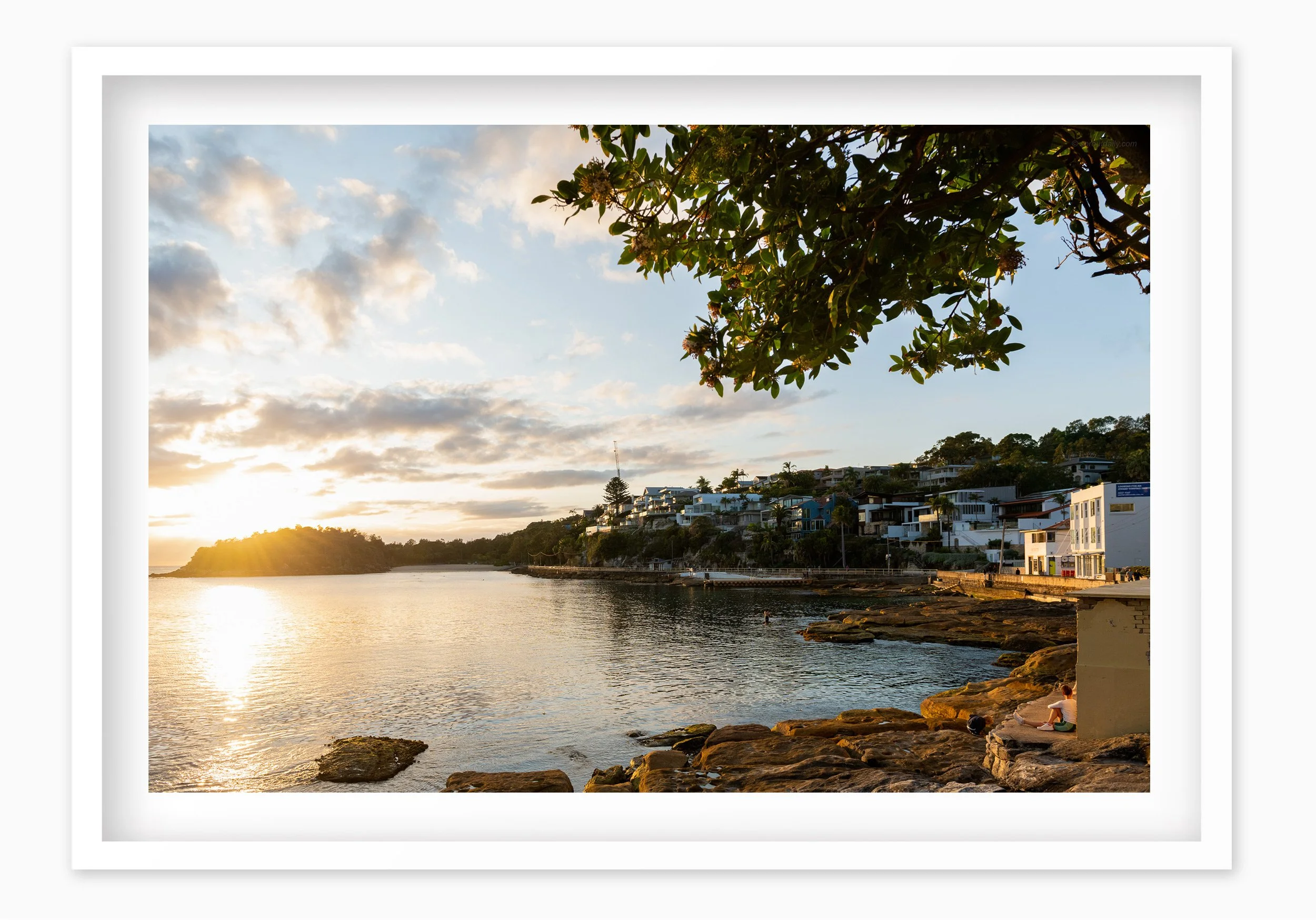 mfsprout_20240910_249-Edit-3_WhiteBox-Frame-SproutDaily_PrintShop.jpg