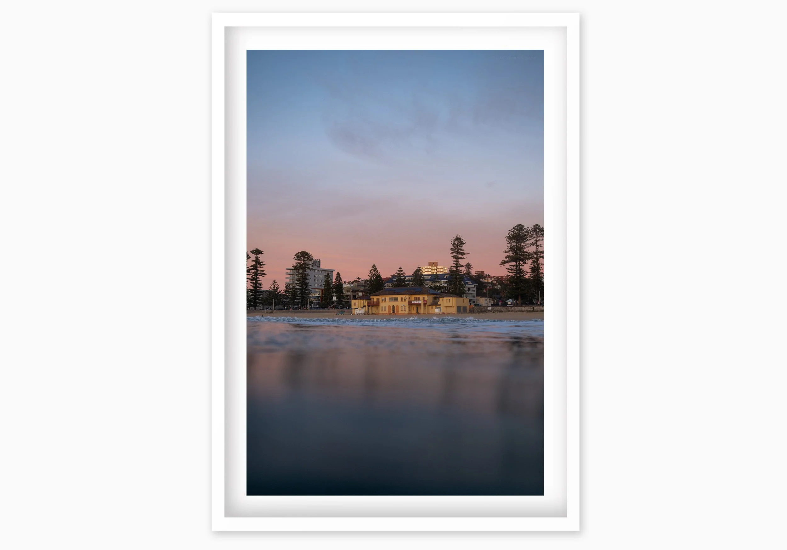 mfsprout_20240620_397-White-Frame.jpg