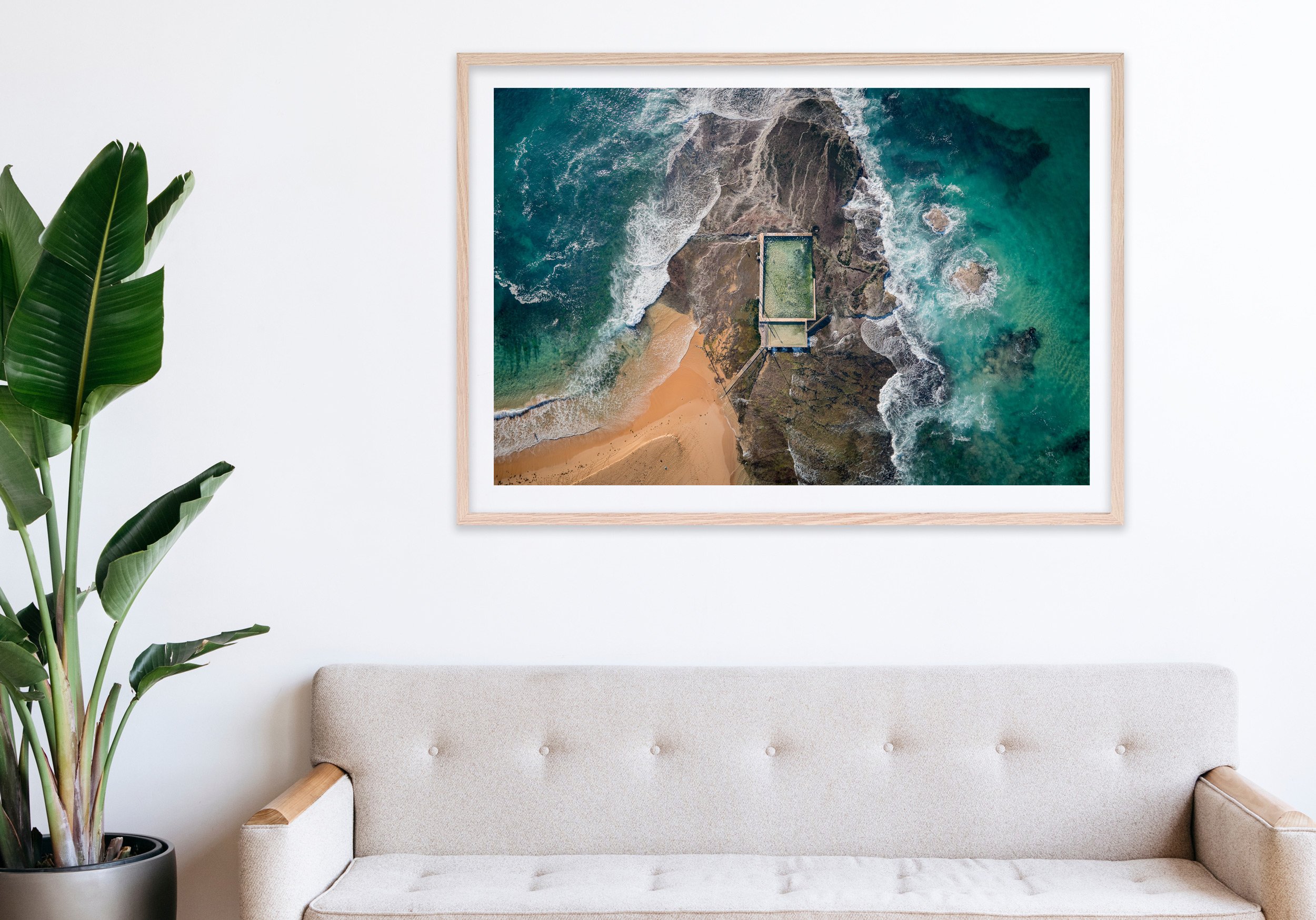 Insitu_mfsprout_20190815_602_RawOak-Frame_SproutDaily_PrintShop.jpg