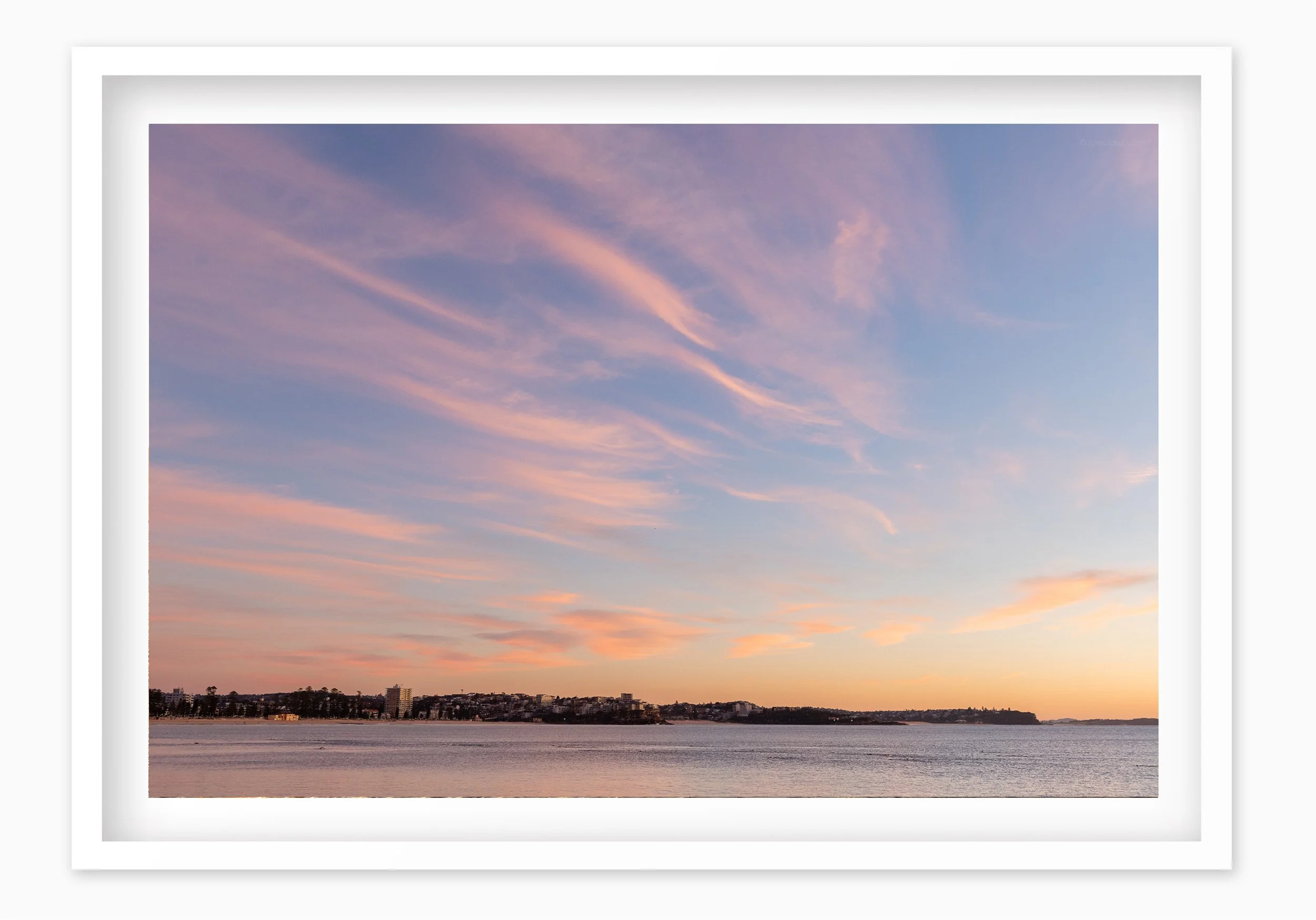 mfsprout_20250717_206_WhiteBox-Frame-SproutDaily_PrintShop.jpg
