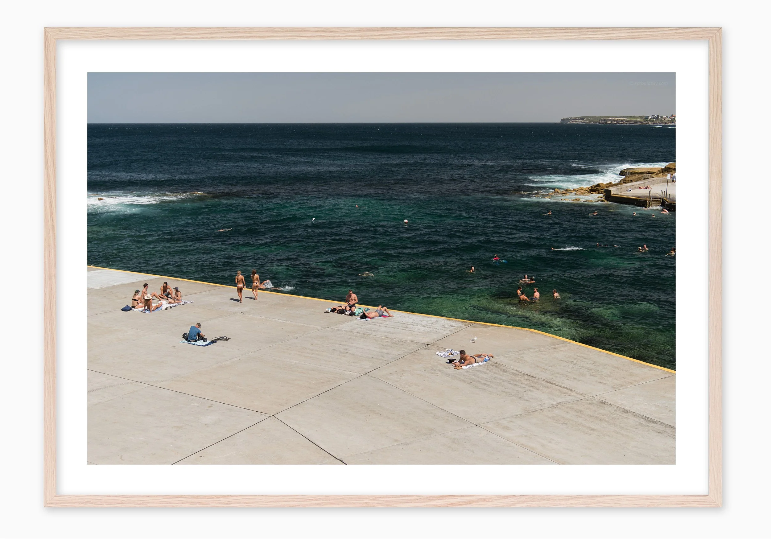 mfsprout_20190212_1219_RawOak-Frame_SproutDaily_PrintShop.jpg