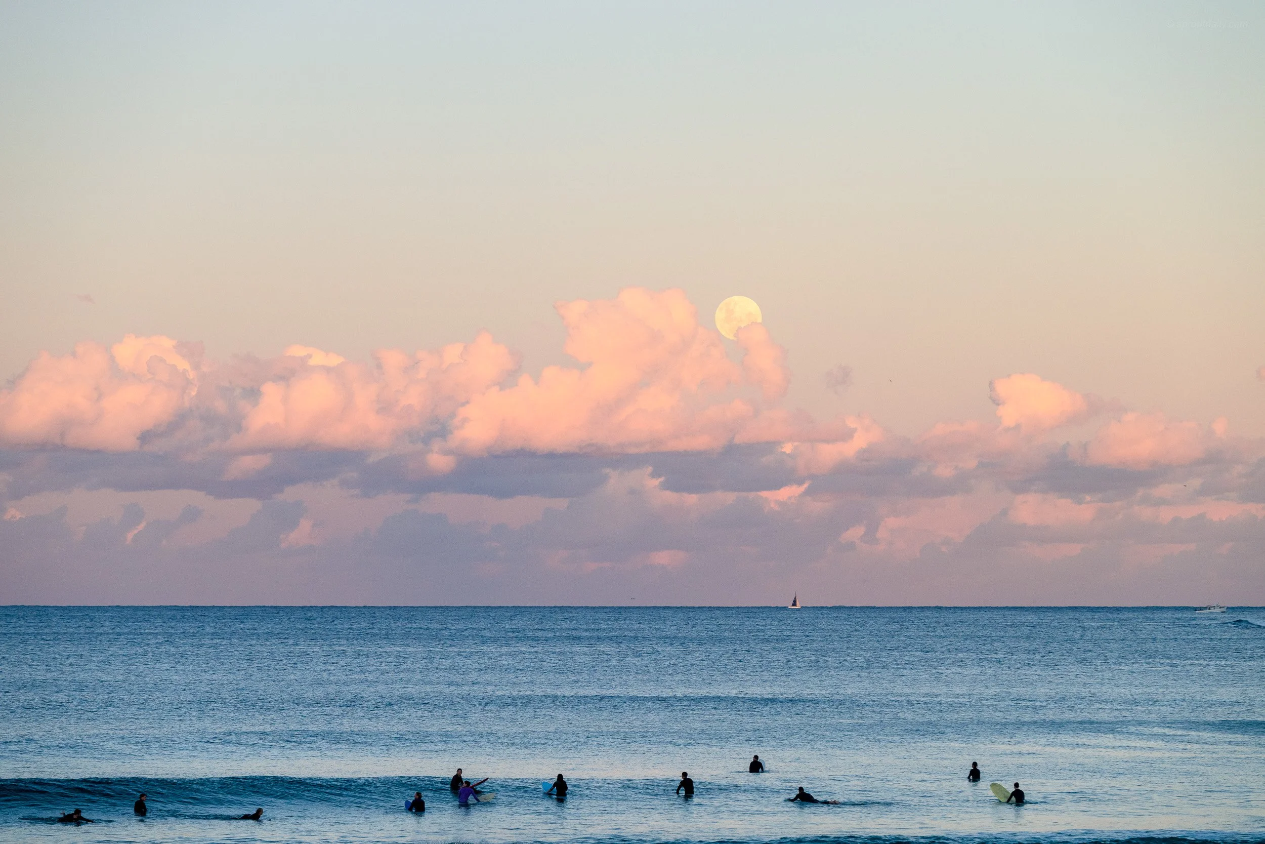 mfsprout__20260531_1230-Edit-Edit.jpg