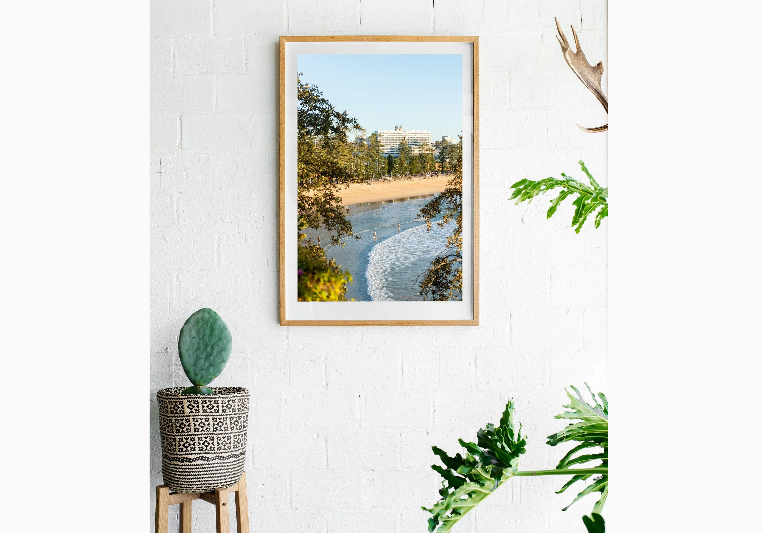 mInsitu_fsprout_20220622_299_RawOak-Frame_SproutDaily_PrintShop.jpg