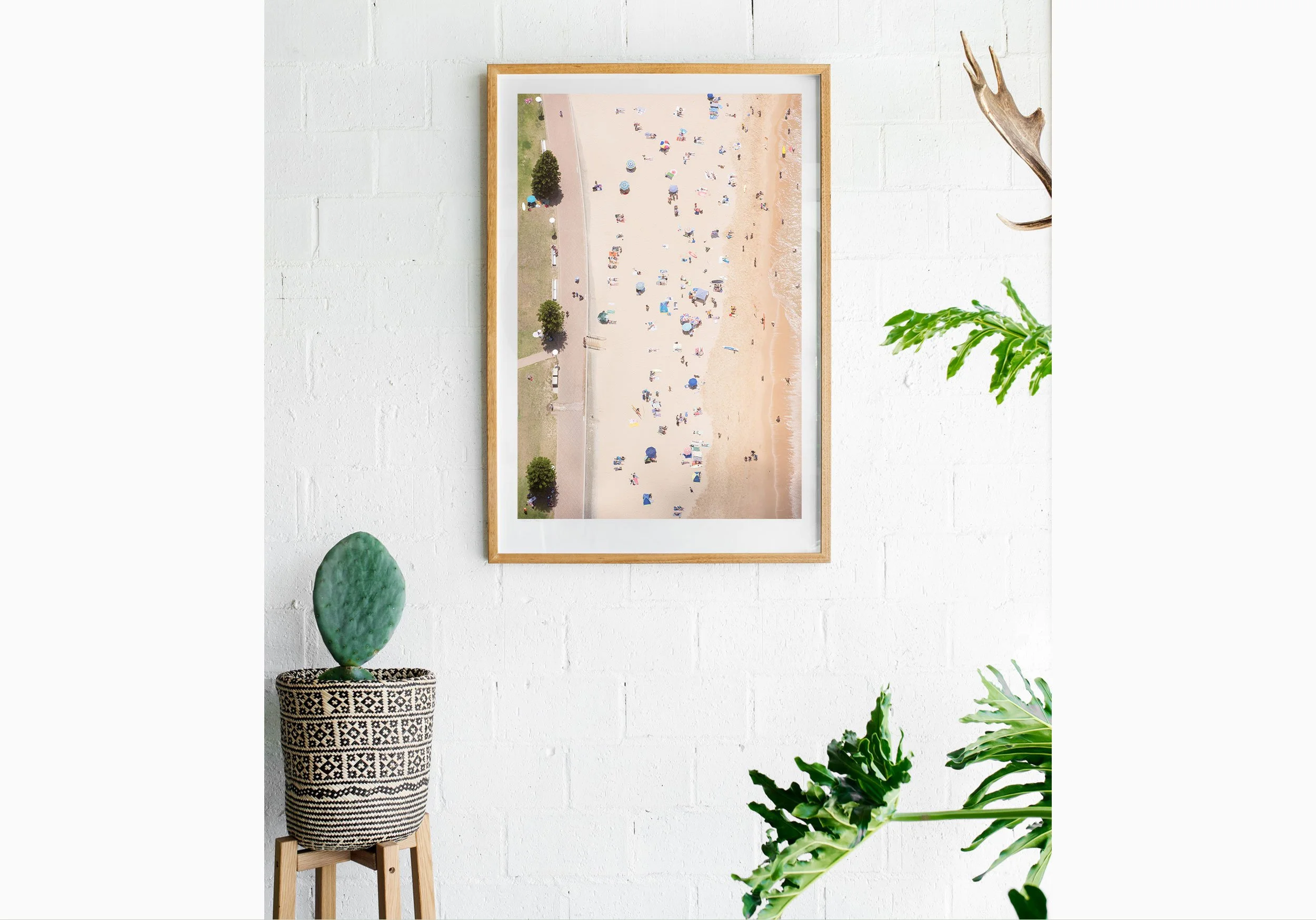 mfsprout_20161231_515-print-Insitu.jpg